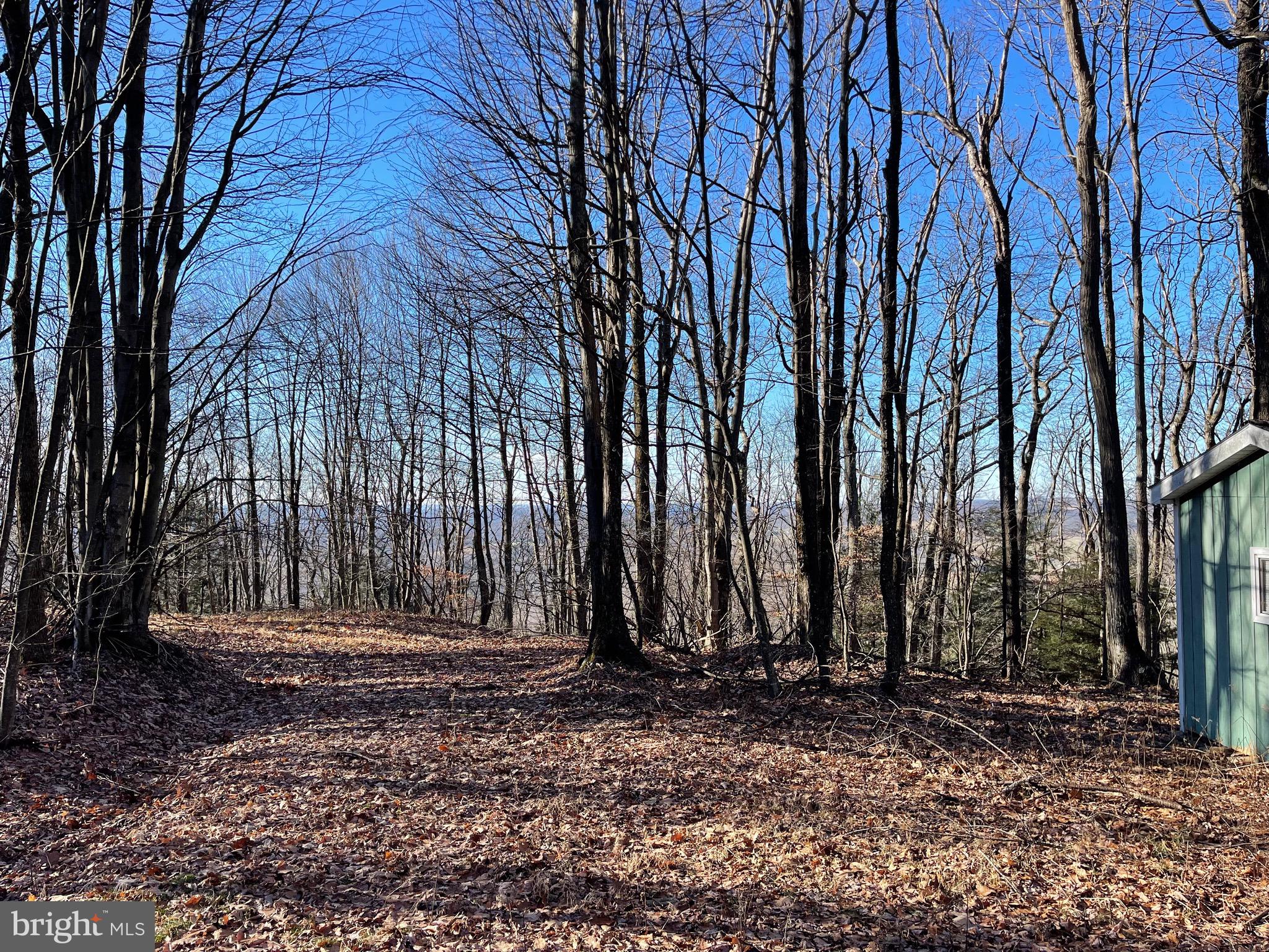 Lot 6 Hoye Crest Rd