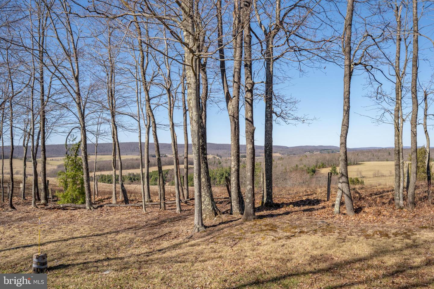 314 Morning Glory Dr