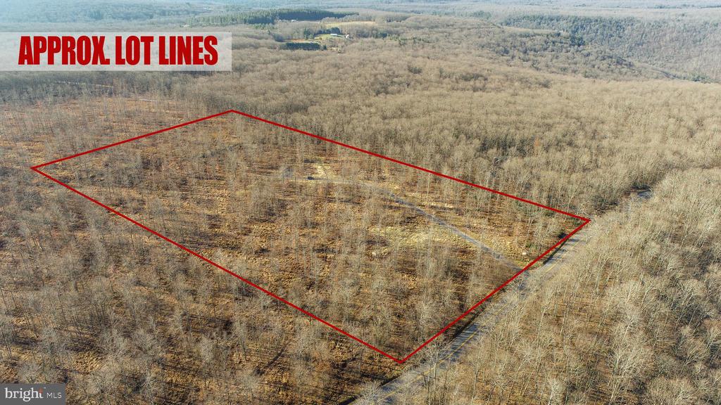 10 AC SHINGLE CAMP ROAD