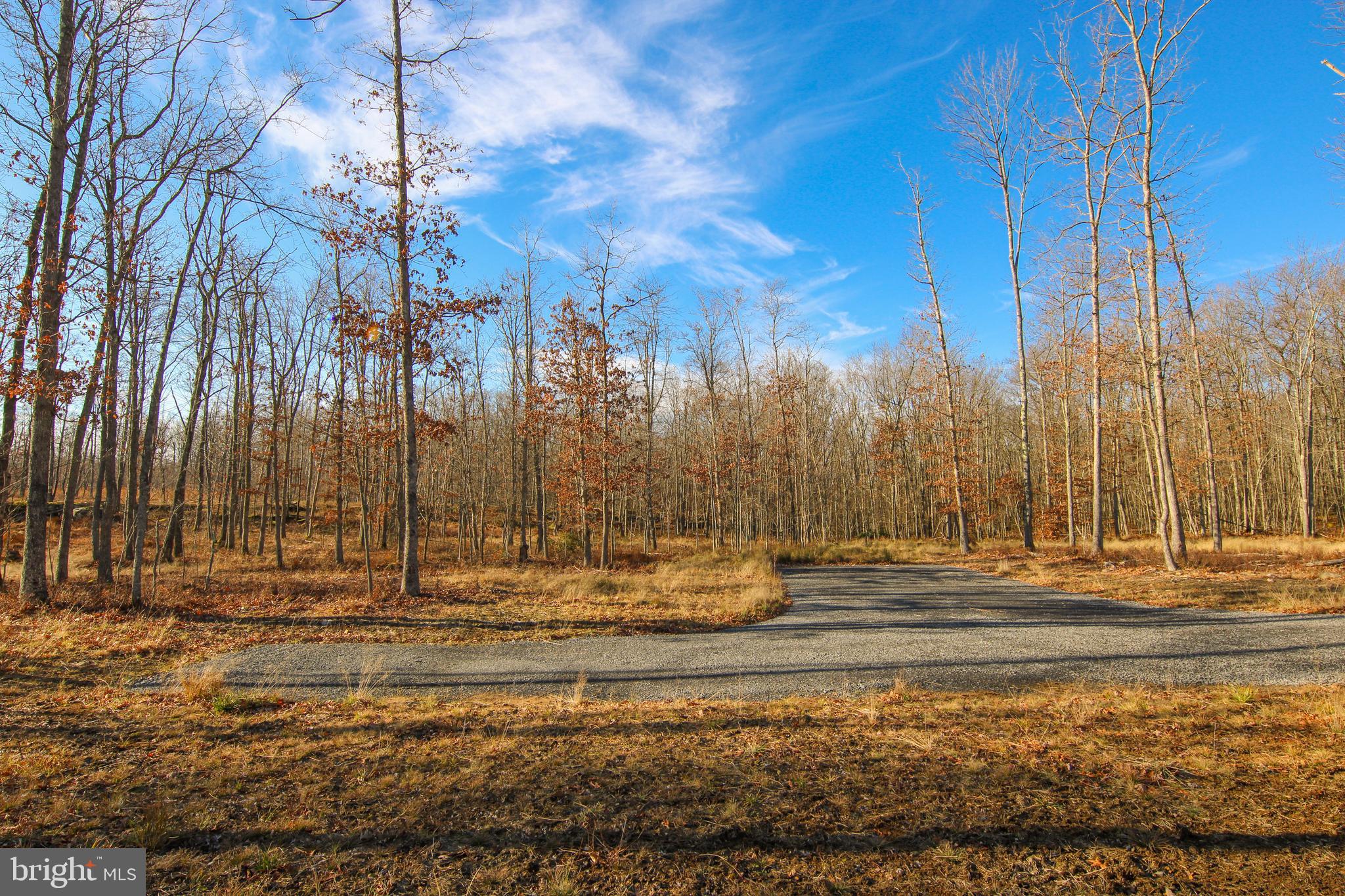 10 AC SHINGLE CAMP ROAD