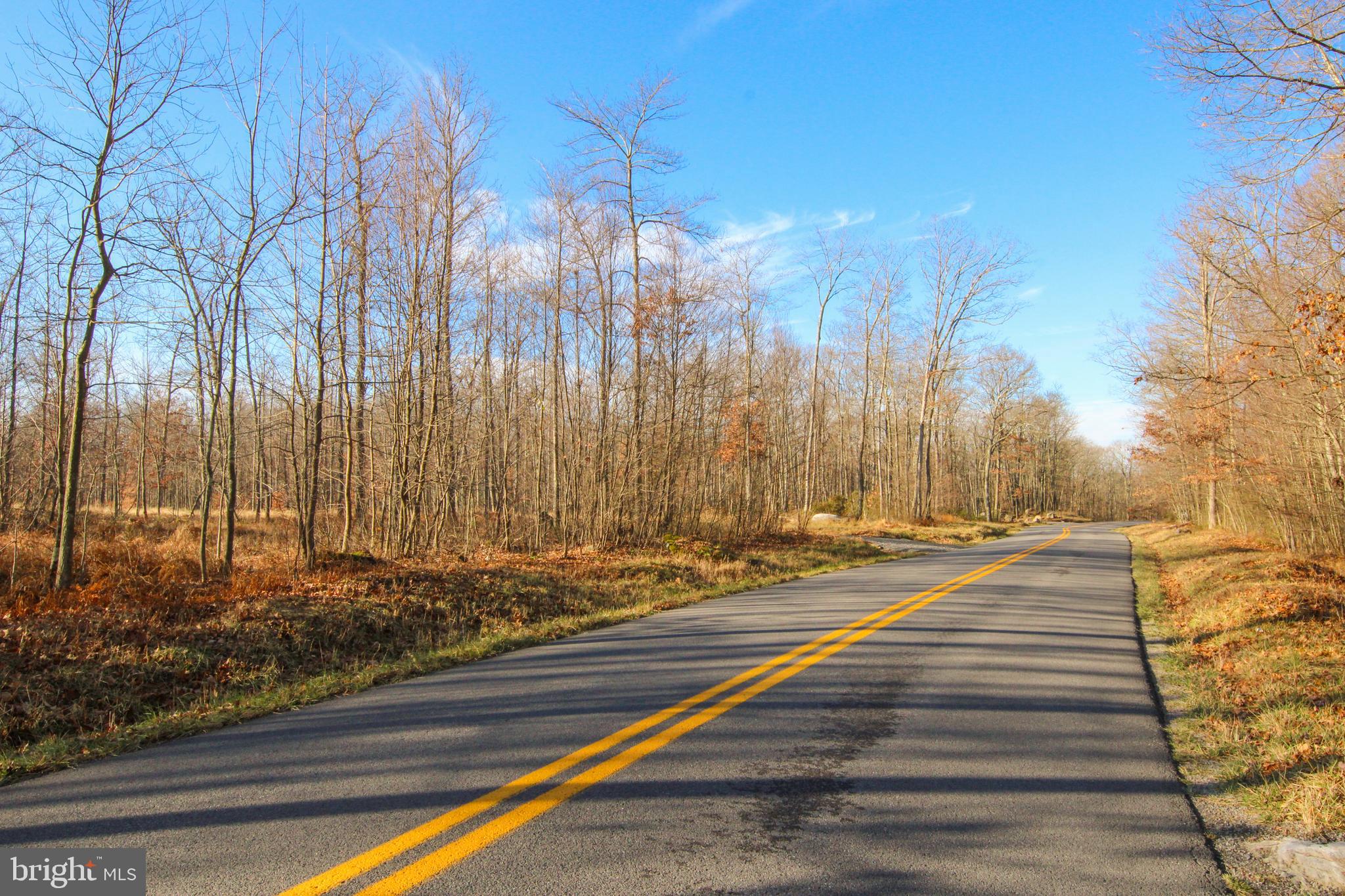 10 AC SHINGLE CAMP ROAD