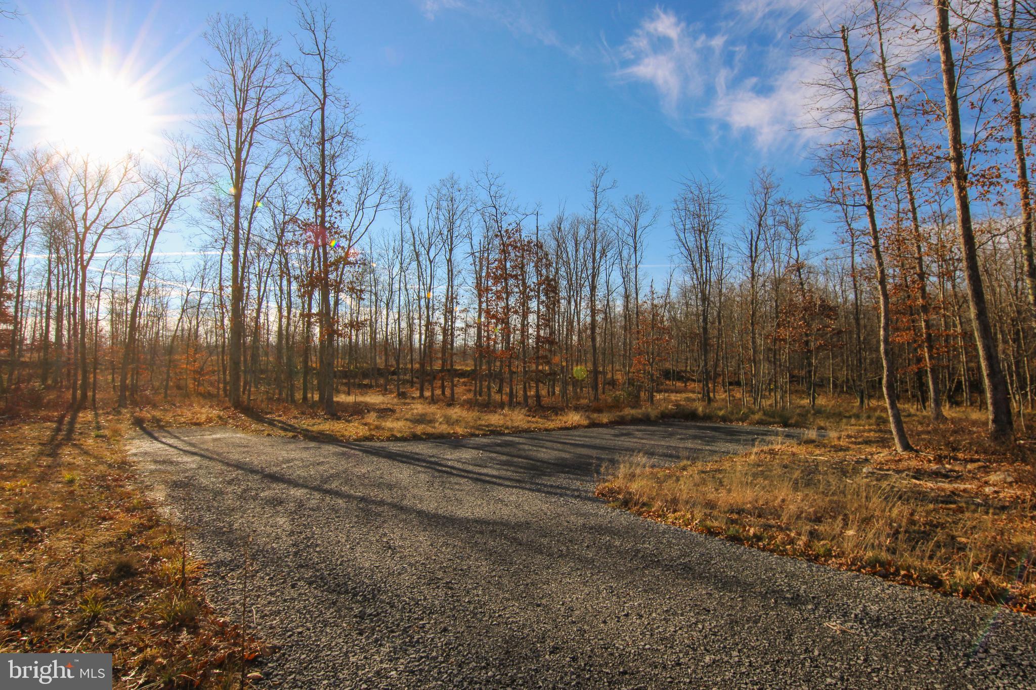 10 AC SHINGLE CAMP ROAD