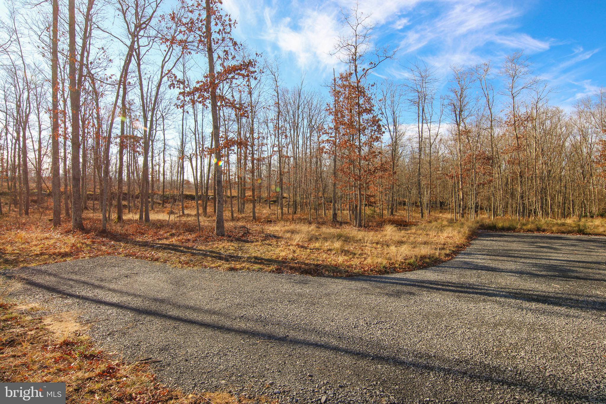 10 AC SHINGLE CAMP ROAD
