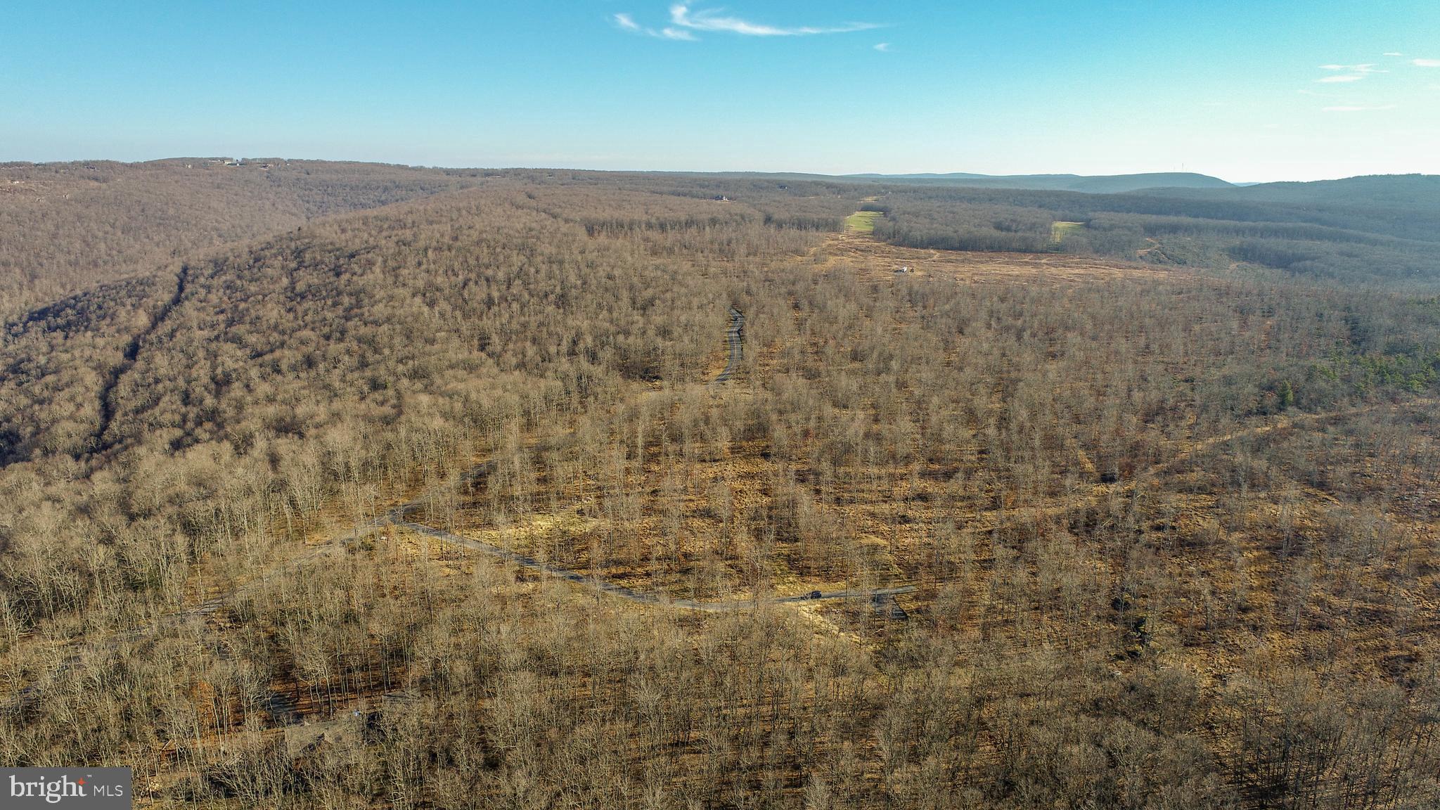 10 AC SHINGLE CAMP ROAD