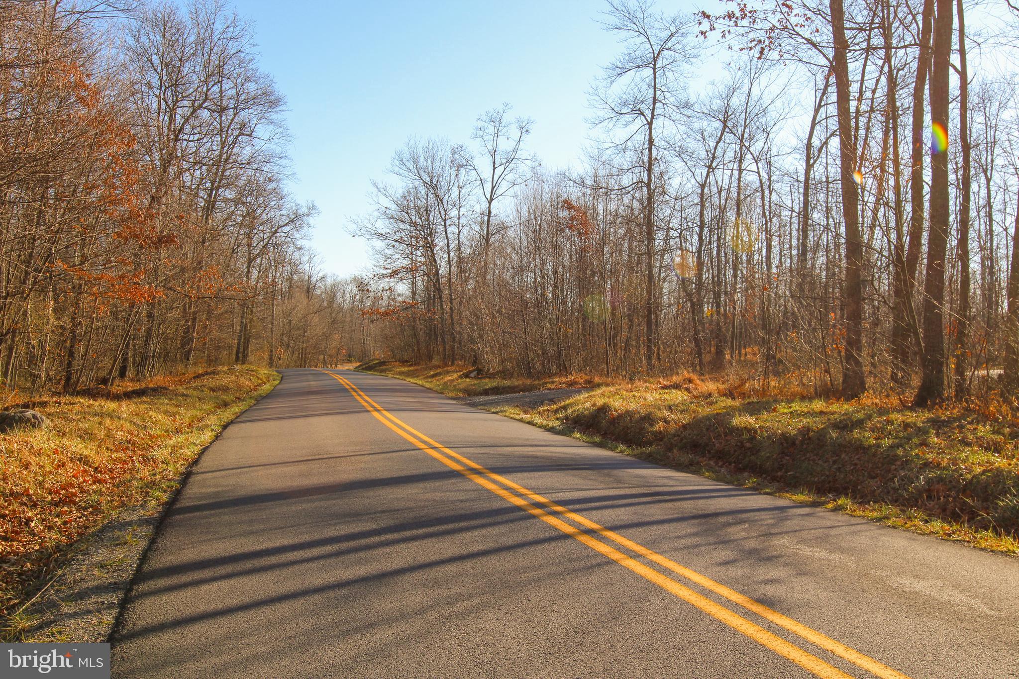 10 AC SHINGLE CAMP ROAD