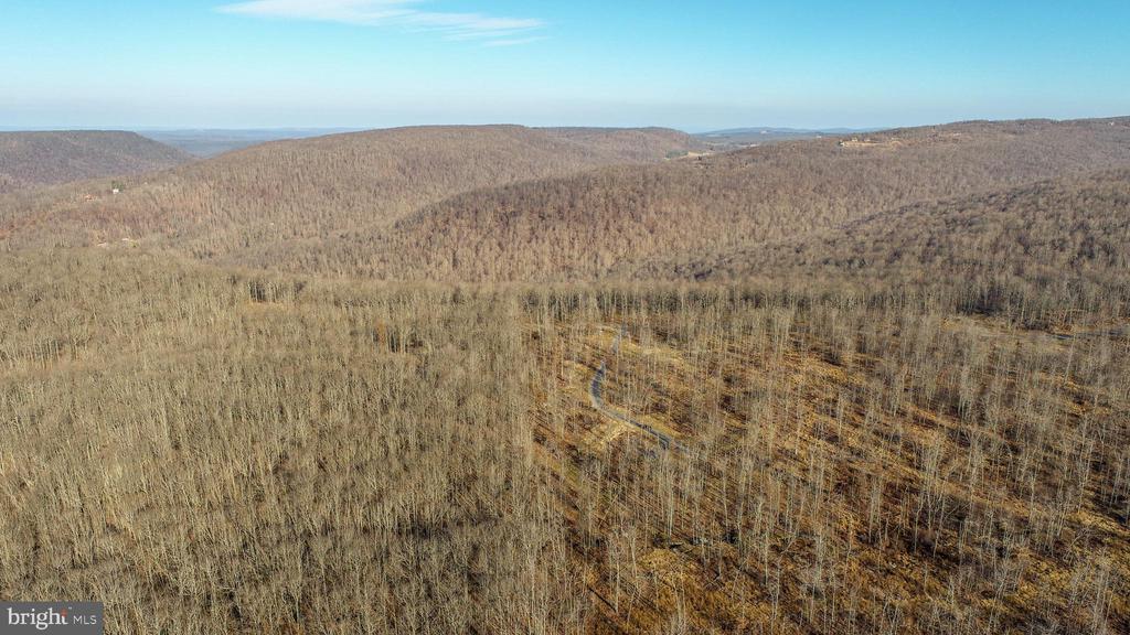 10 AC SHINGLE CAMP ROAD