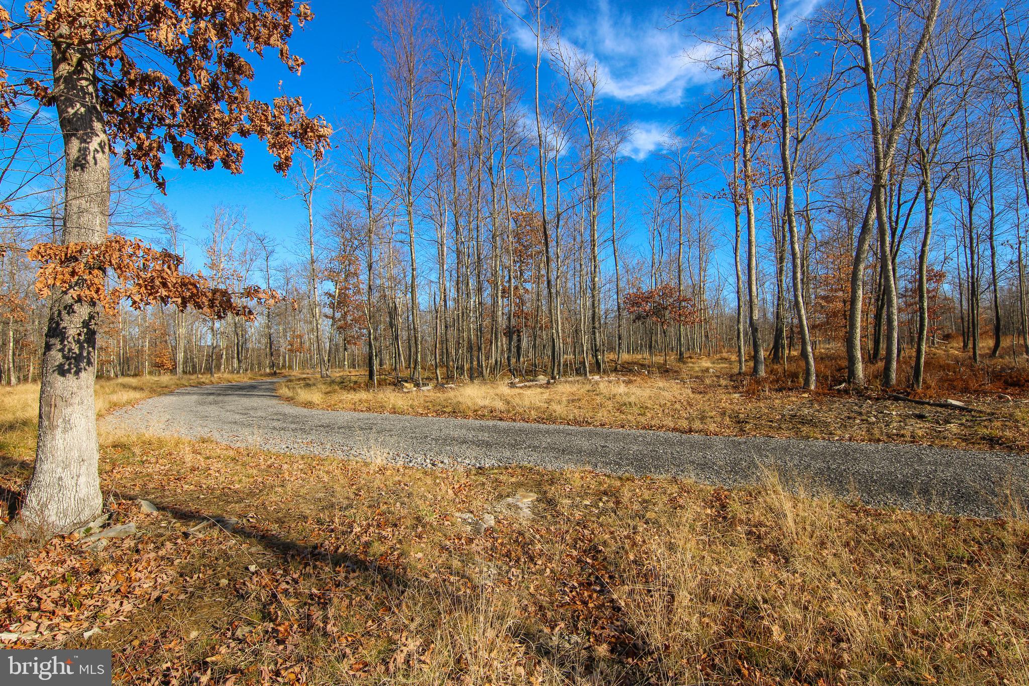 10 AC SHINGLE CAMP ROAD