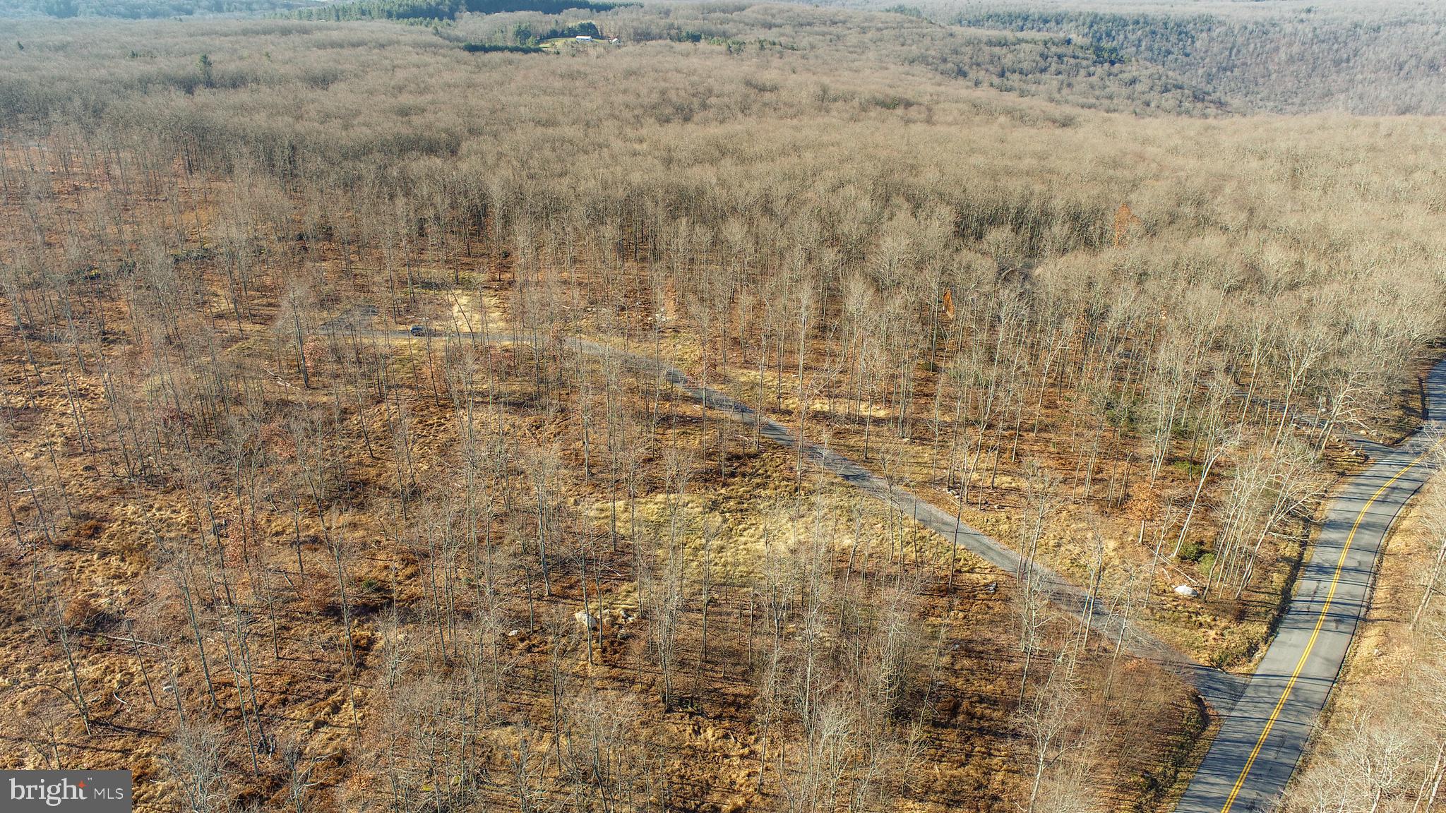 10 AC SHINGLE CAMP ROAD