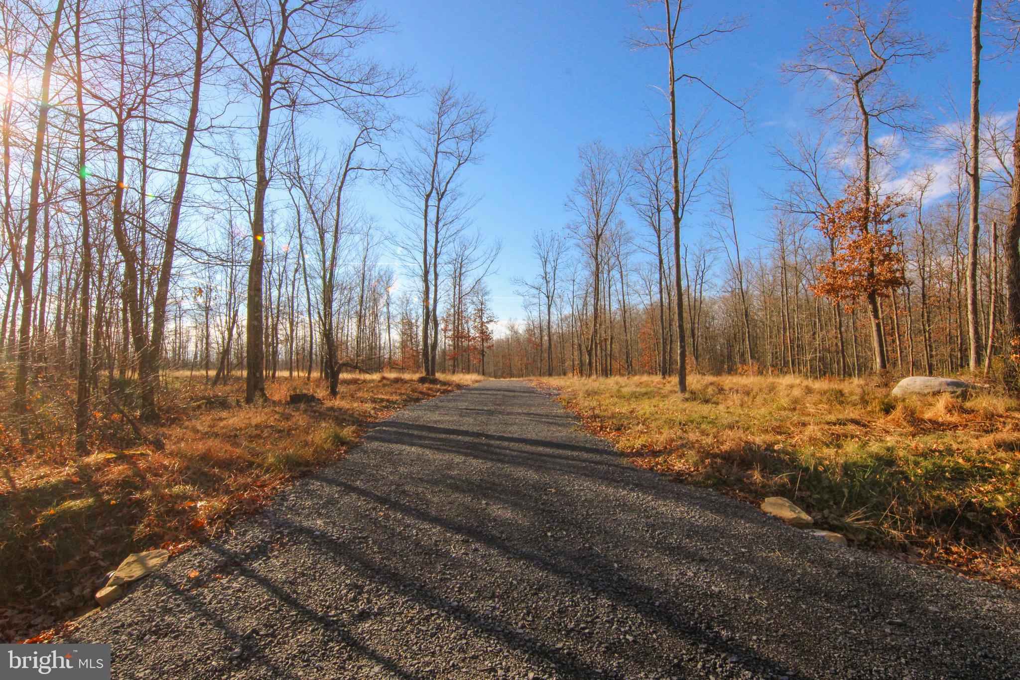 10 AC SHINGLE CAMP ROAD