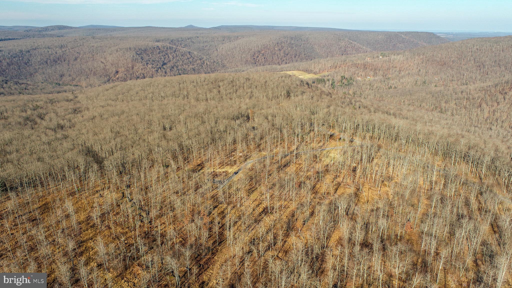 10 AC SHINGLE CAMP ROAD