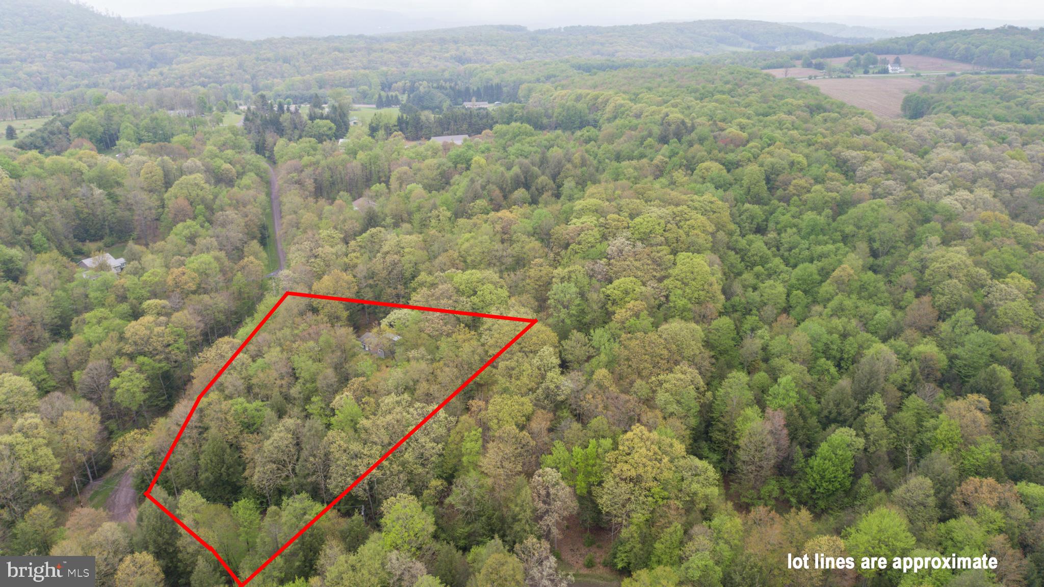 373 Hemlock Meadow Dr