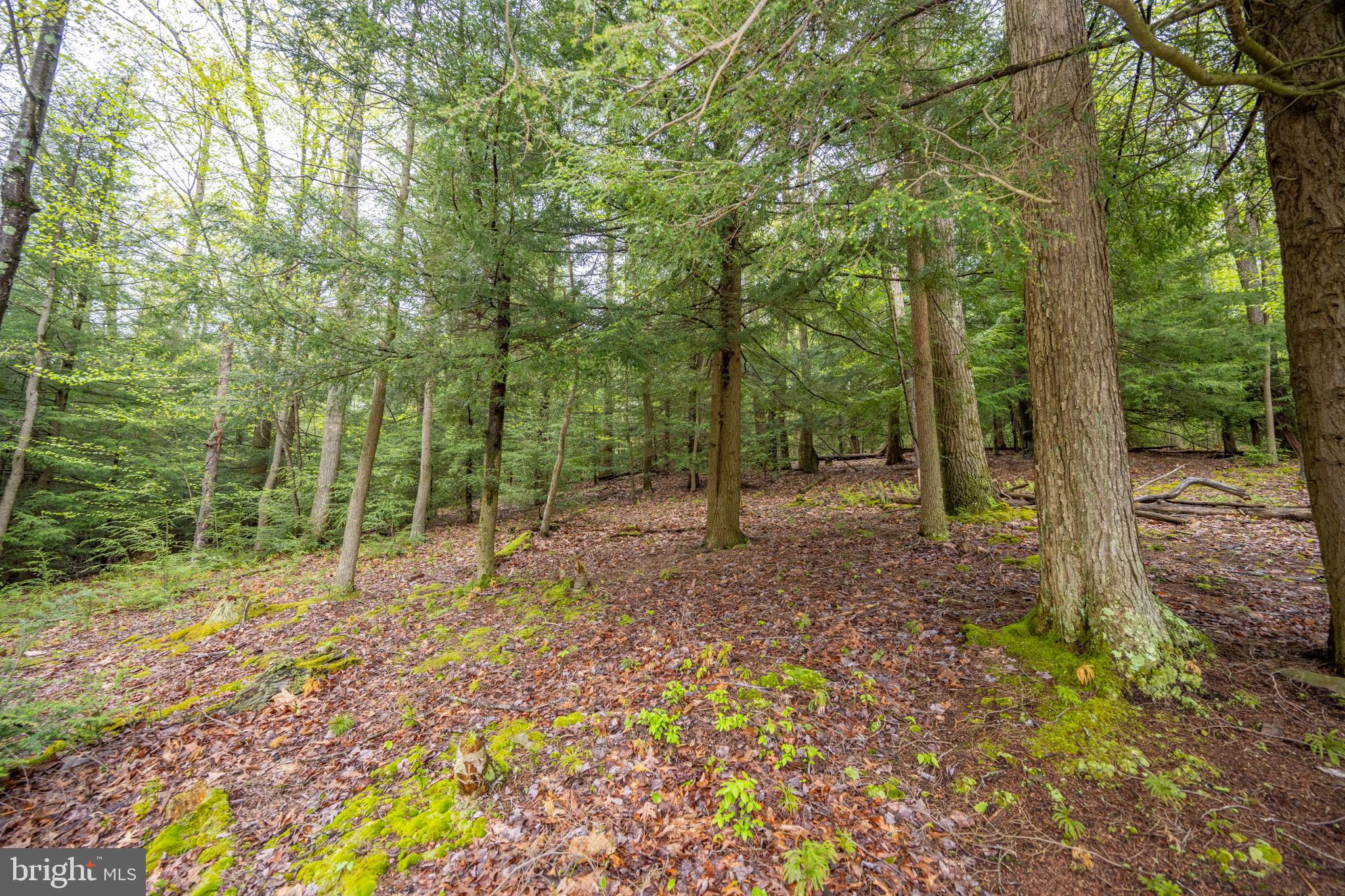 373 Hemlock Meadow Dr