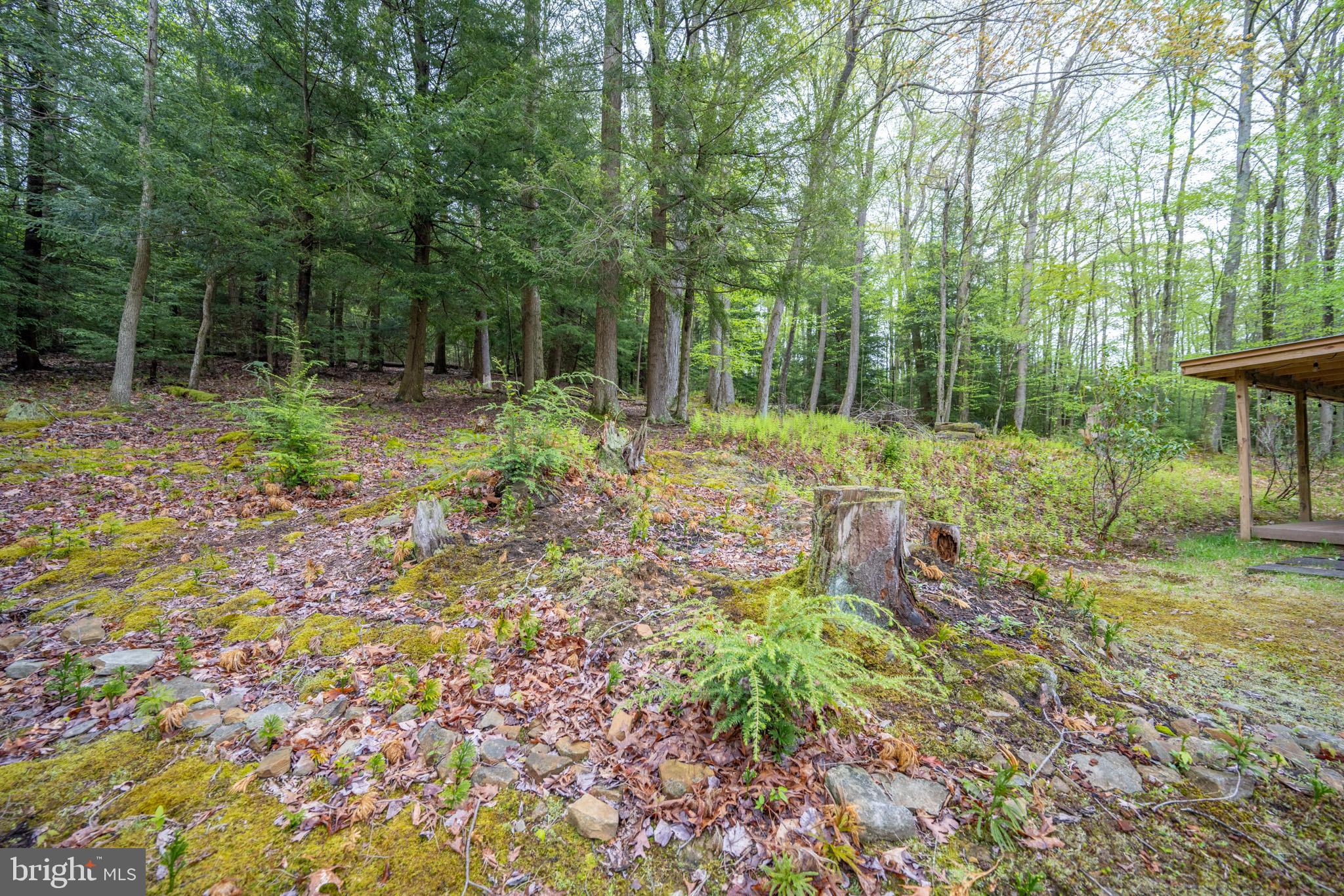 373 Hemlock Meadow Dr