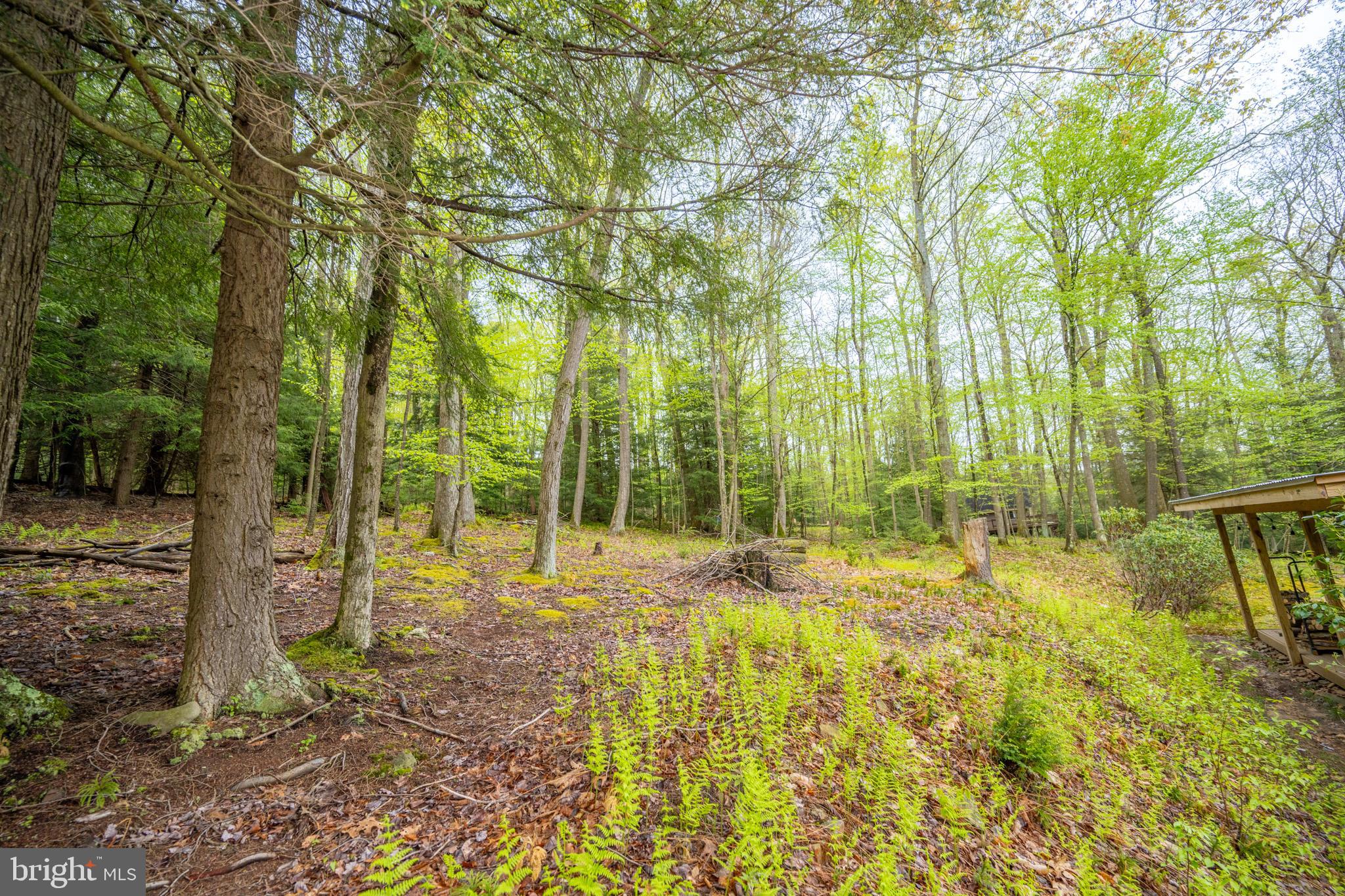 373 Hemlock Meadow Dr