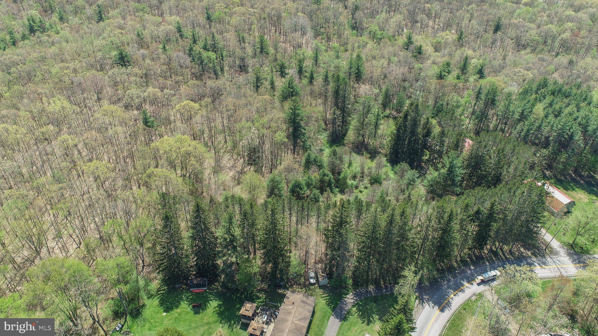 536 Bray School Rd