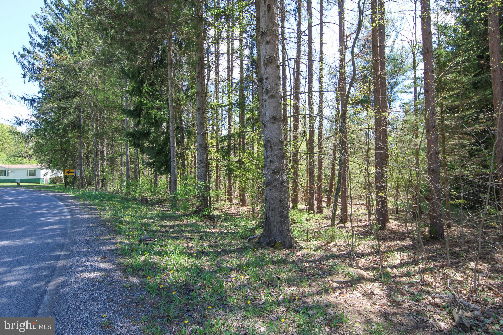 536 Bray School Rd