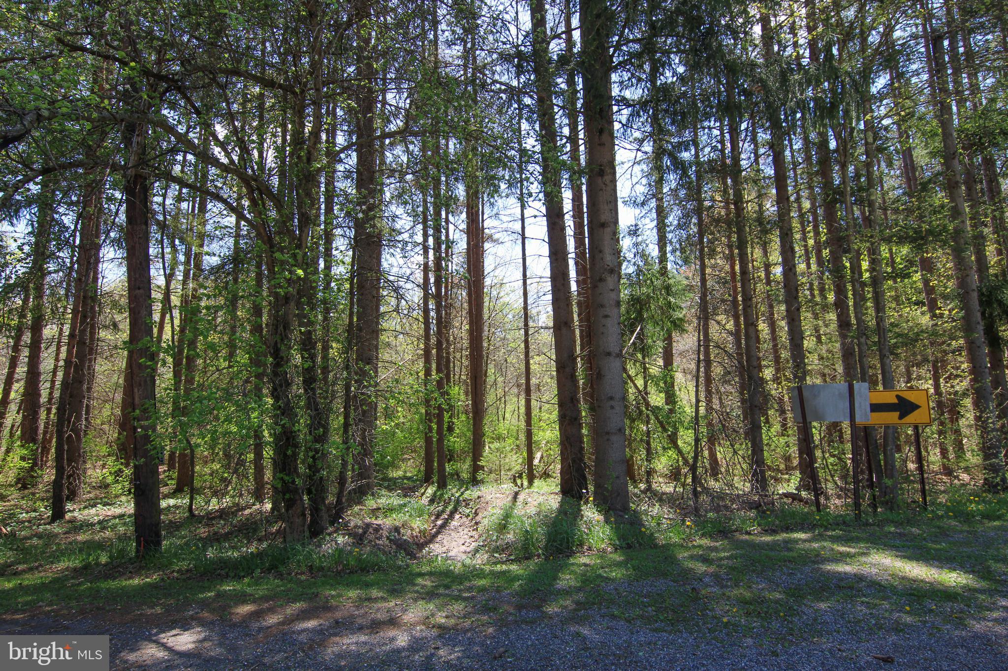 536 Bray School Rd