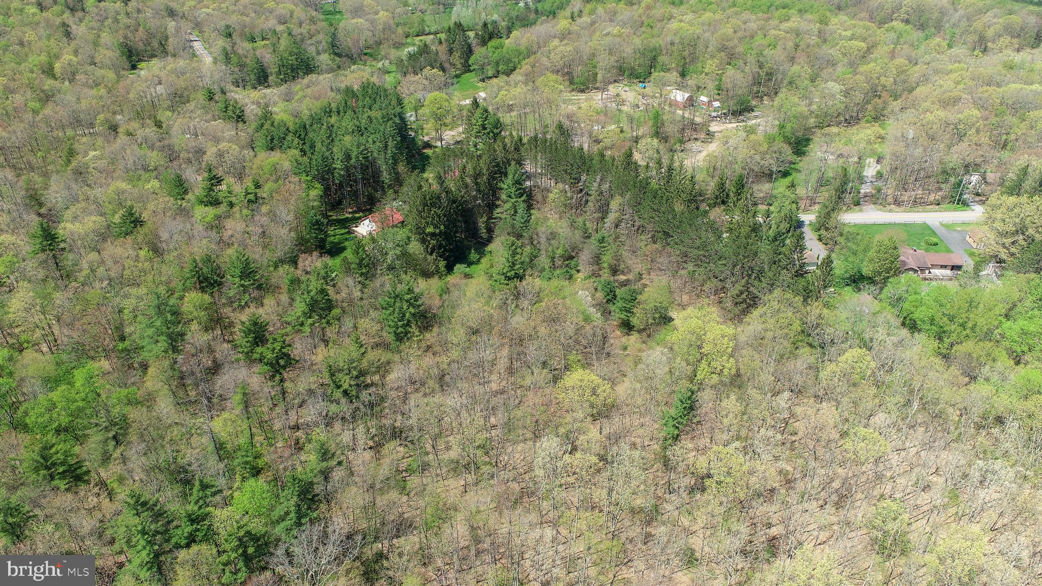 536 Bray School Rd