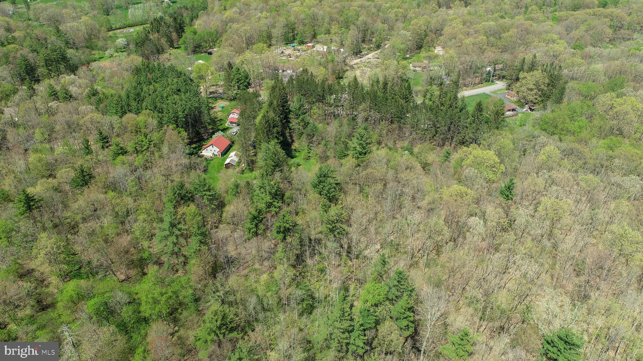 536 Bray School Rd