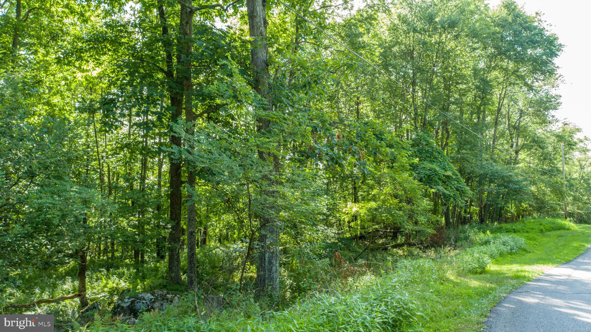 Lot 1 Betts Ln