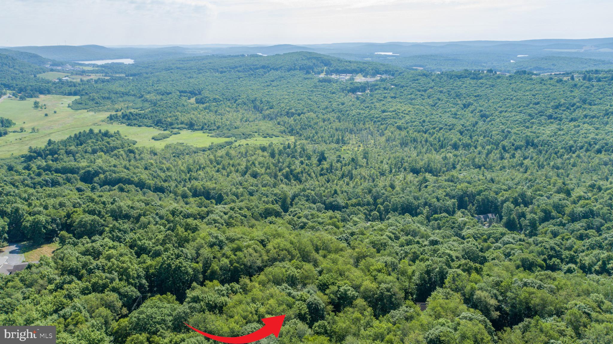 Lot 1 Betts Ln