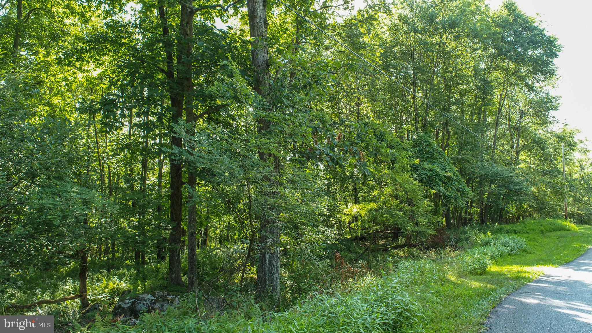 Lot 1 Betts Ln