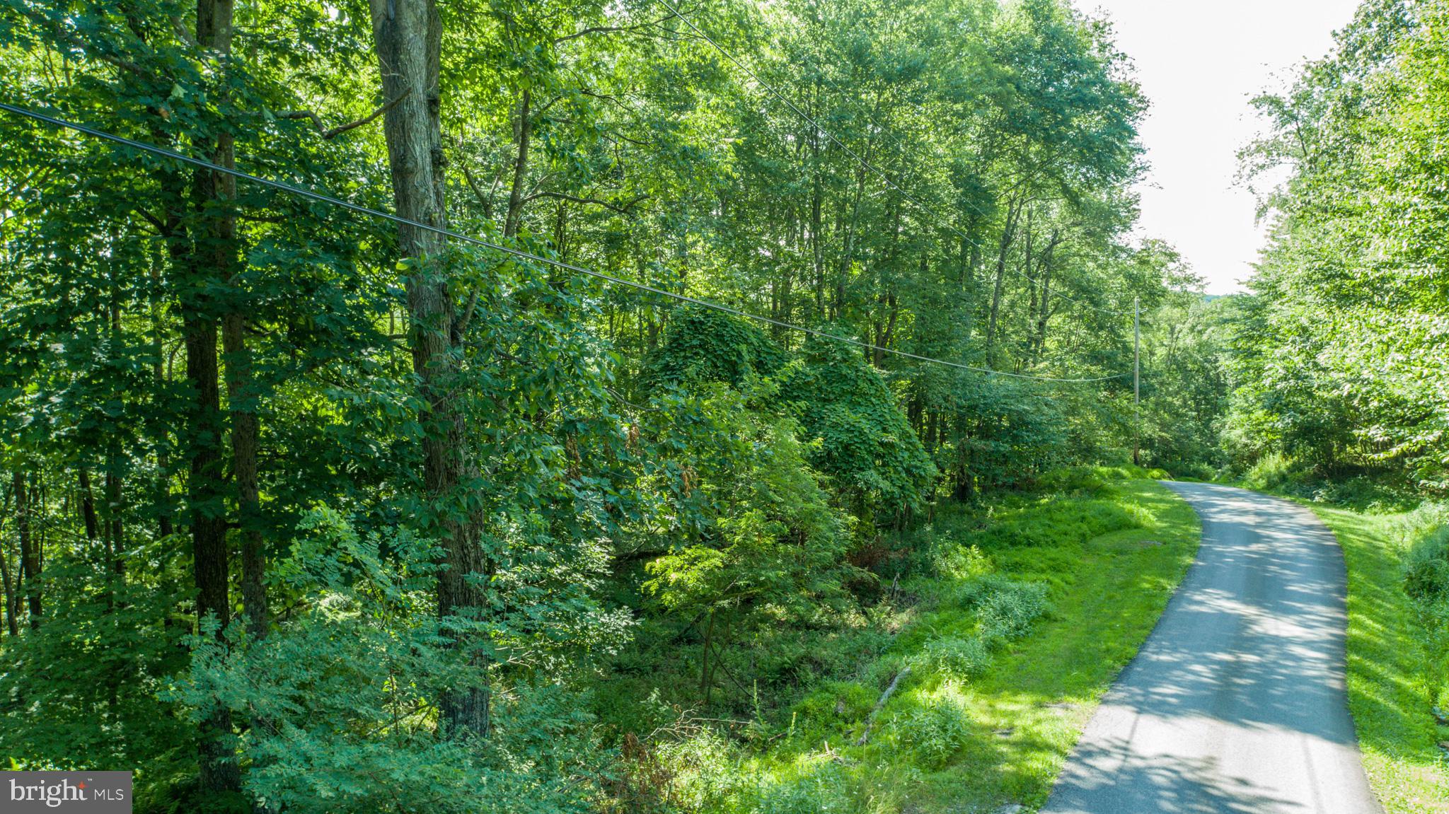 Lot 1 Betts Ln