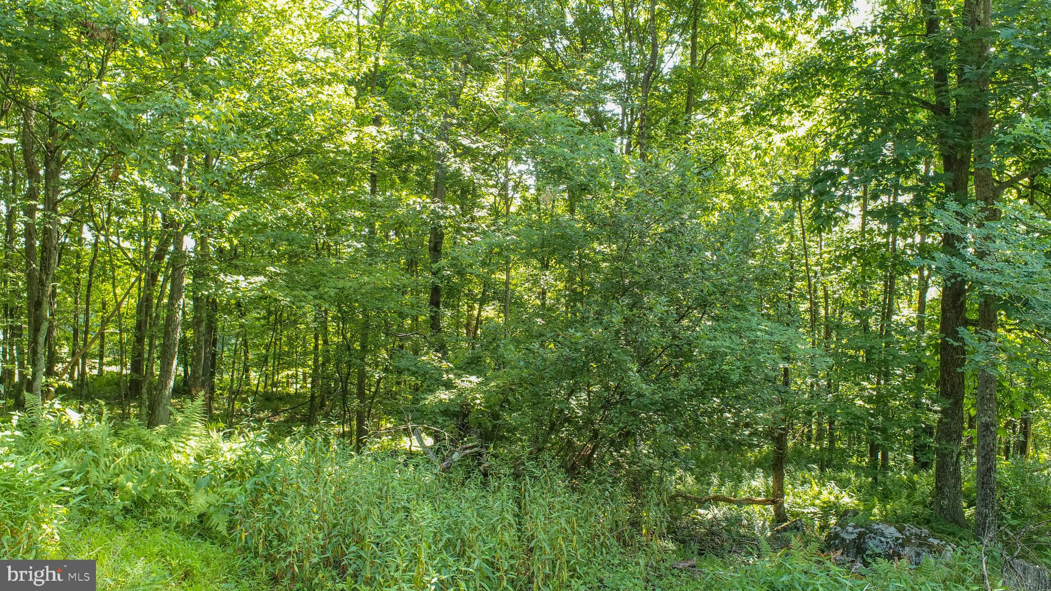 Lot 1 Betts Ln