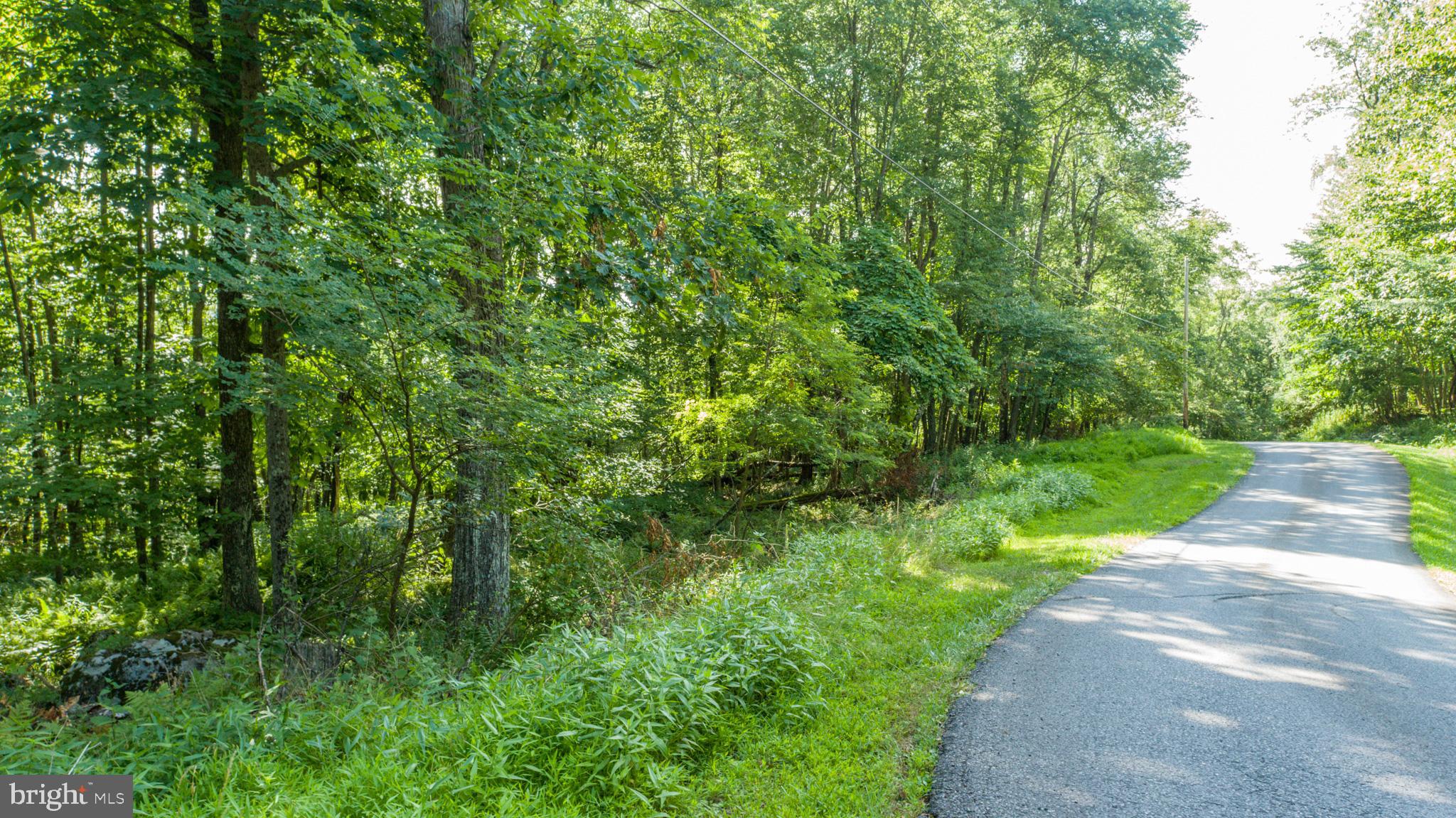 Lot 1 Betts Ln