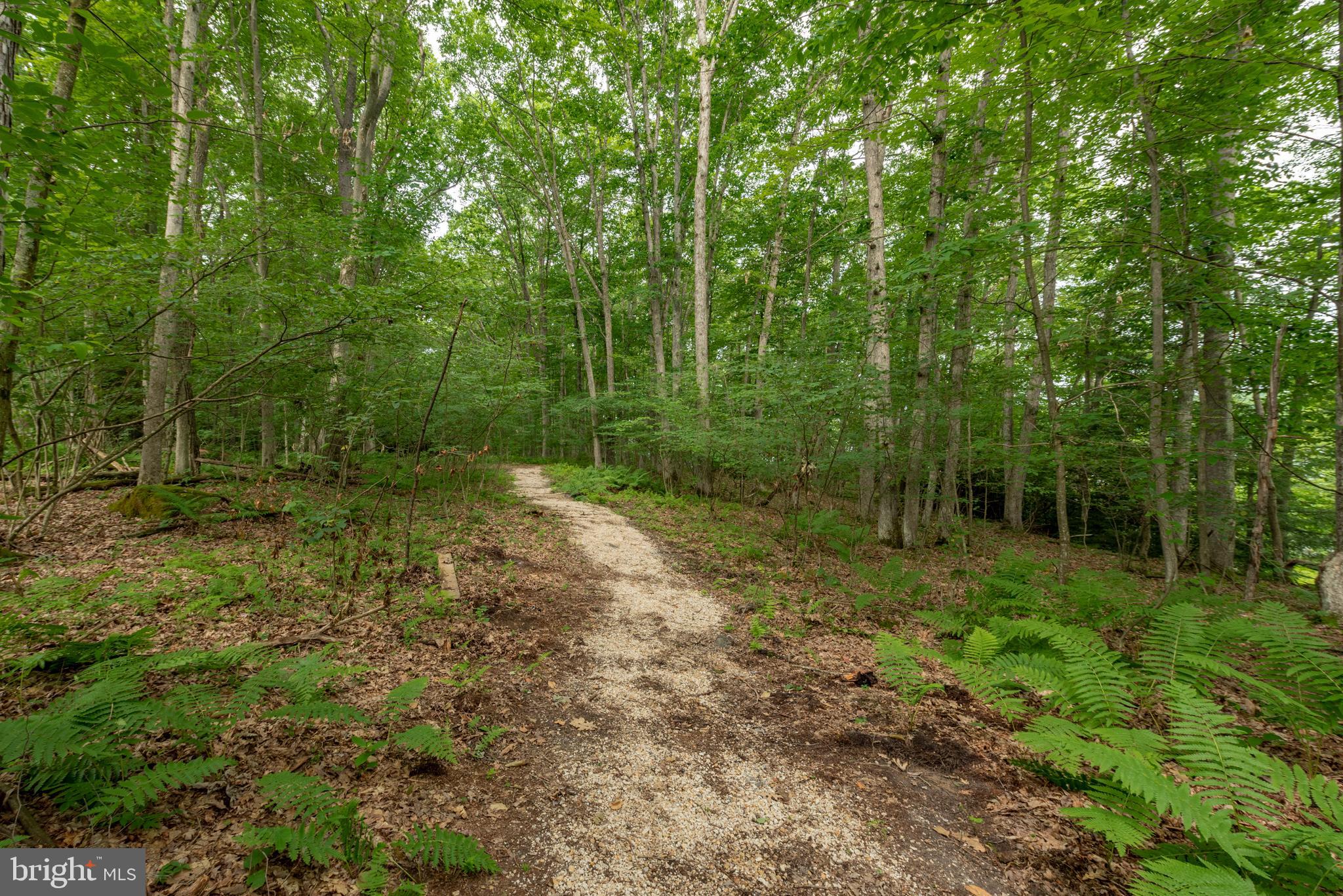 93 Skippers Point Rd