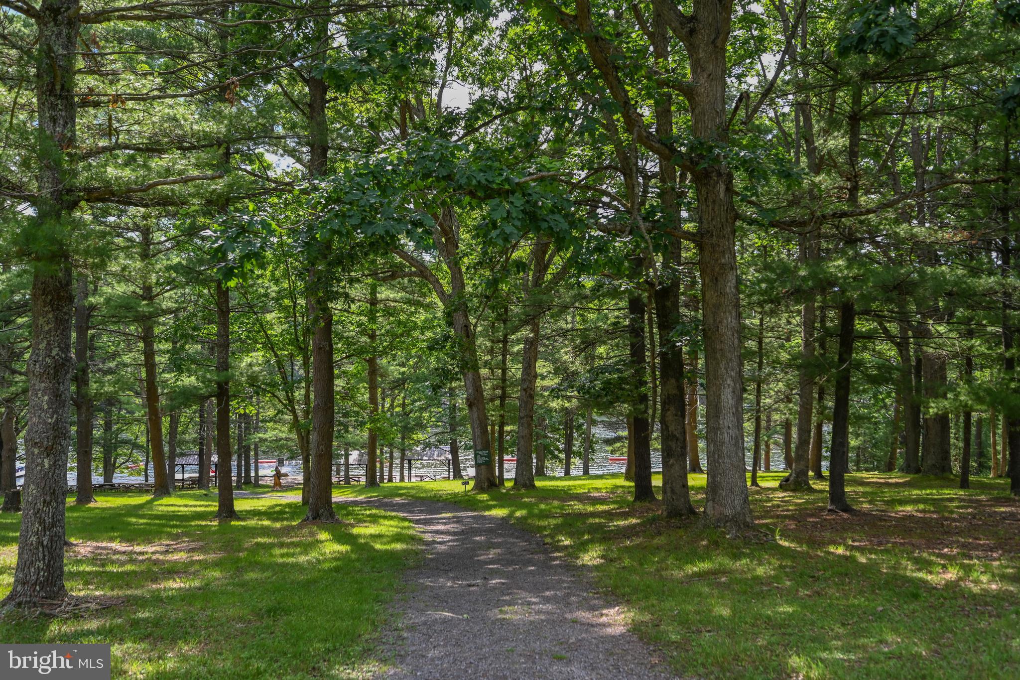 84 Lodge Cir