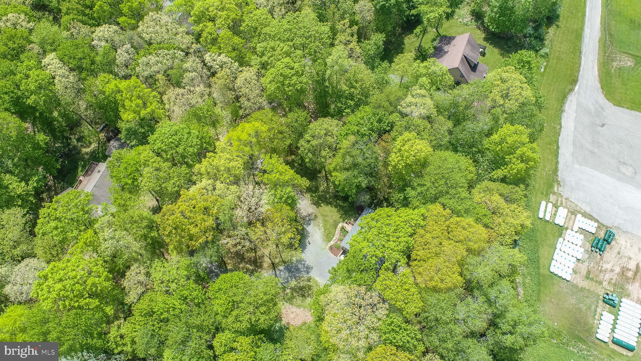 103 Sugar Maple Ln