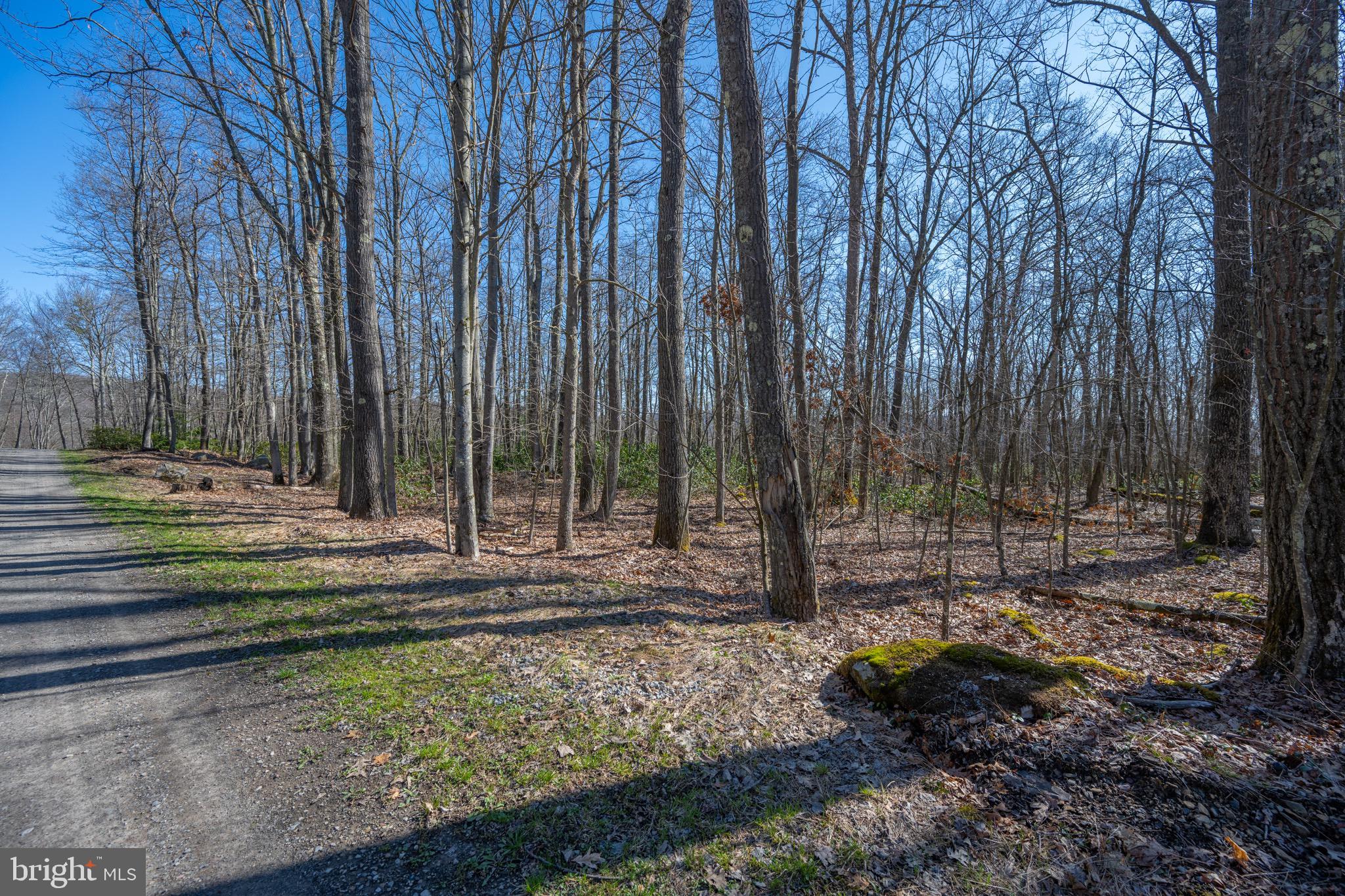 Lot 14 Dogwood Dr