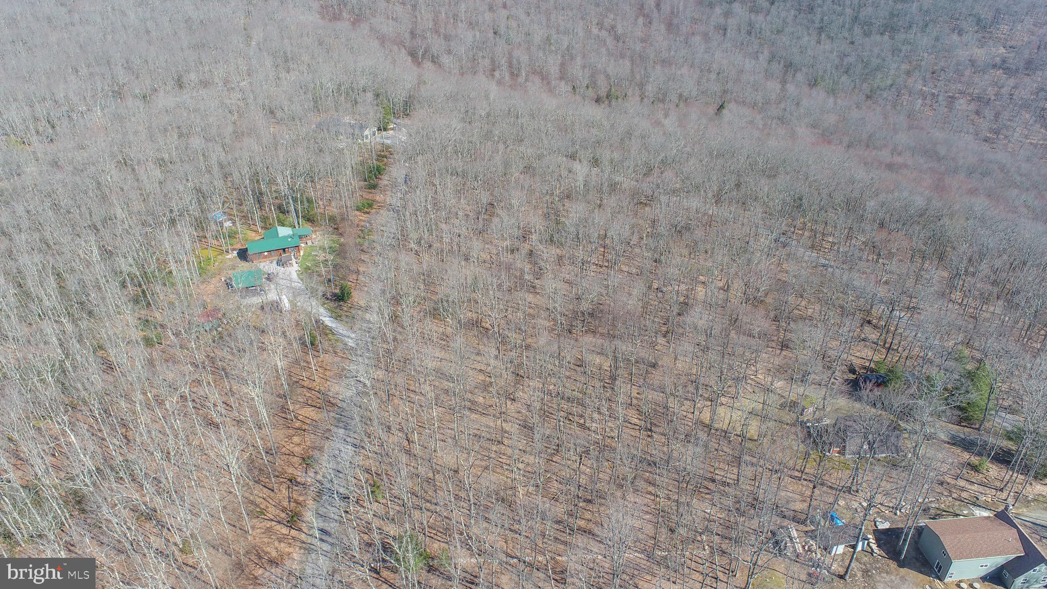 Lot 14 Dogwood Dr