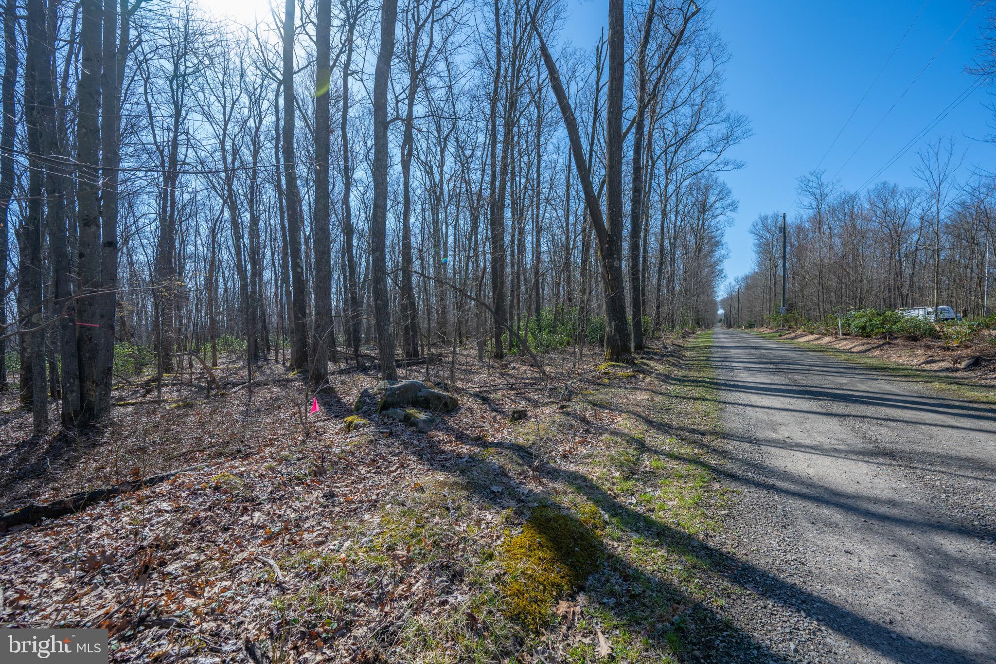 Lot 14 Dogwood Dr