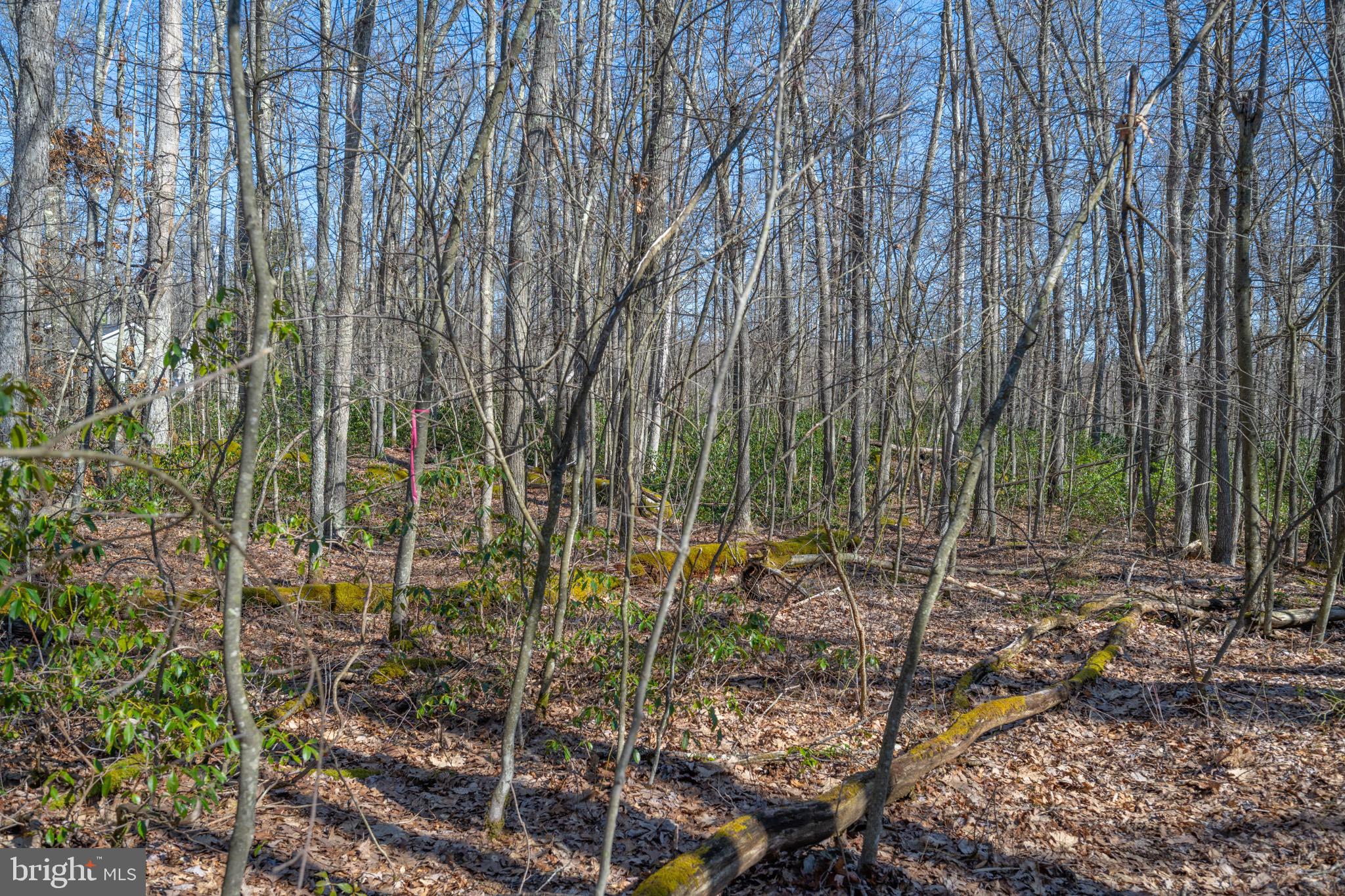 Lot 14 Dogwood Dr