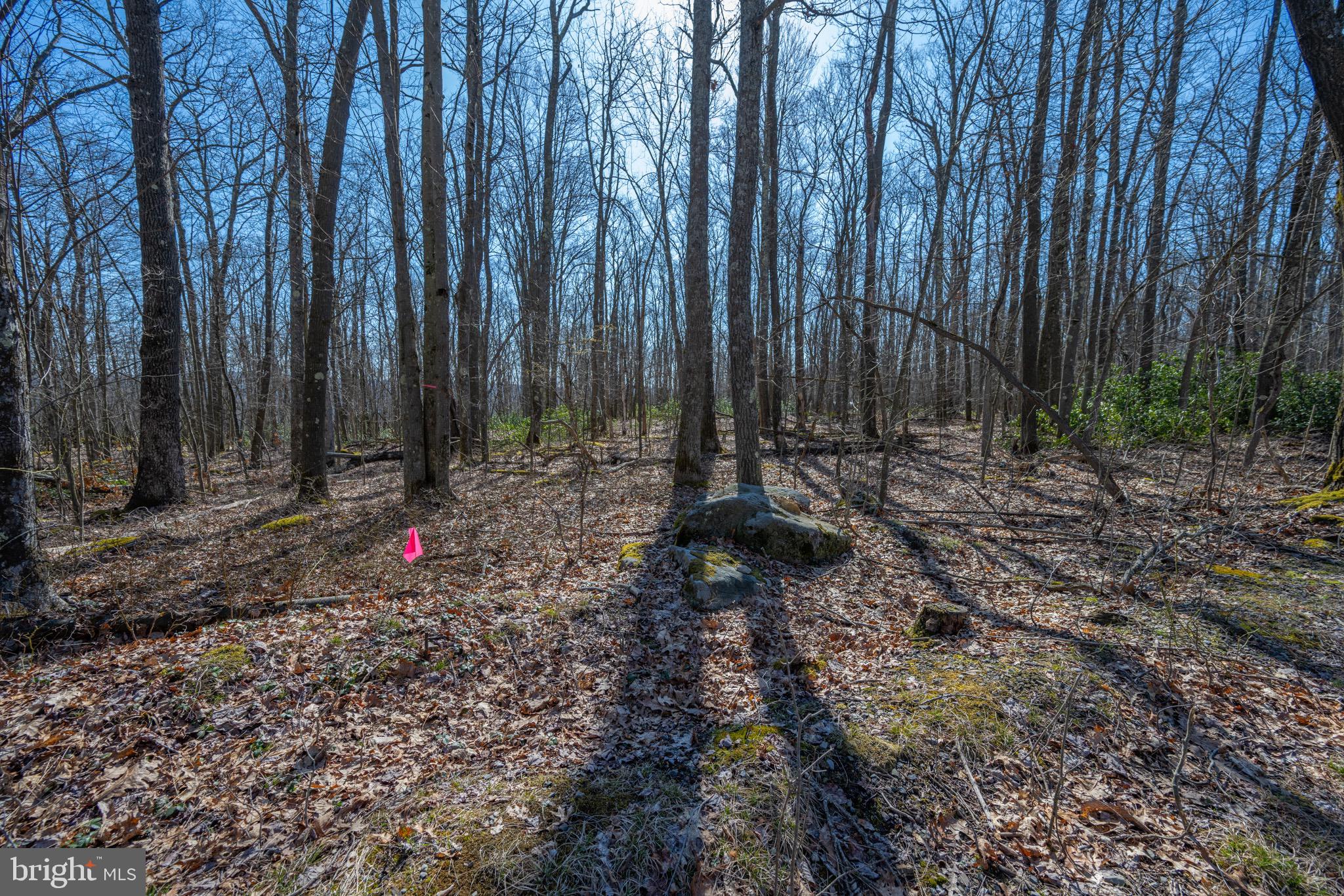Lot 14 Dogwood Dr