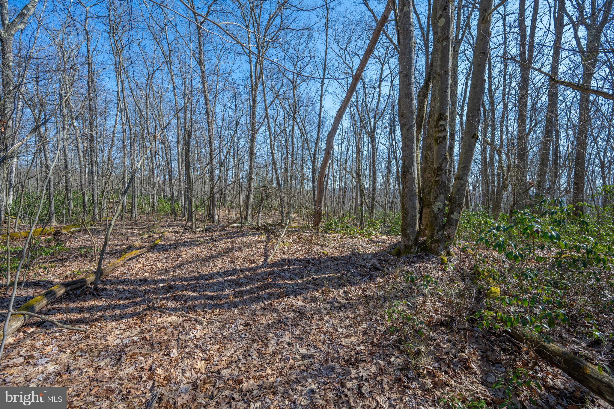 Lot 14 Dogwood Dr