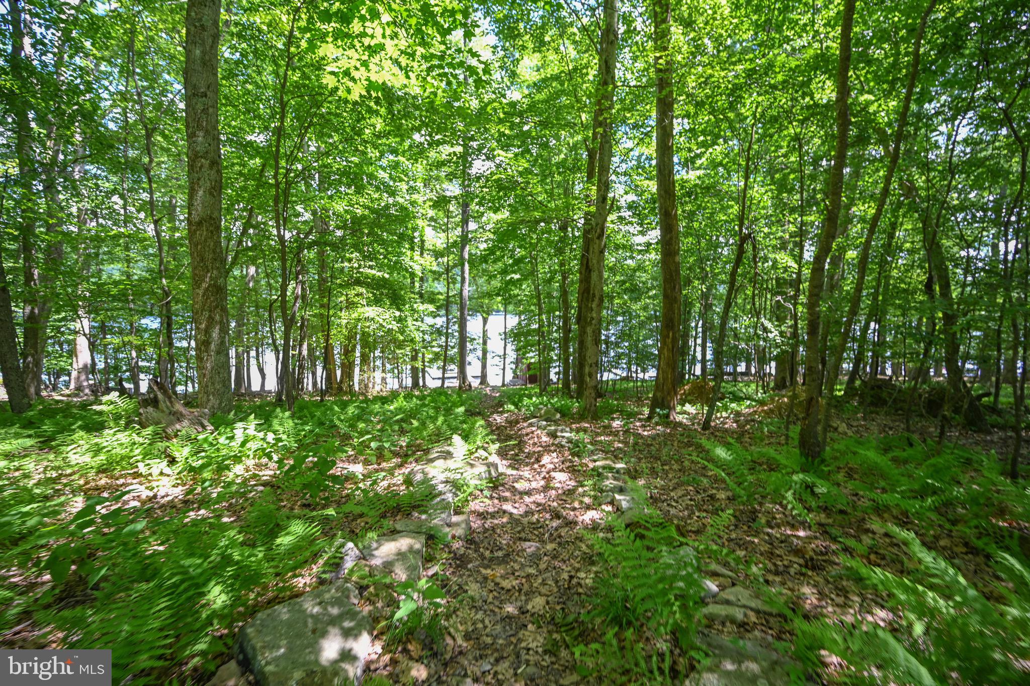 1419 SANDY SHORES ROAD