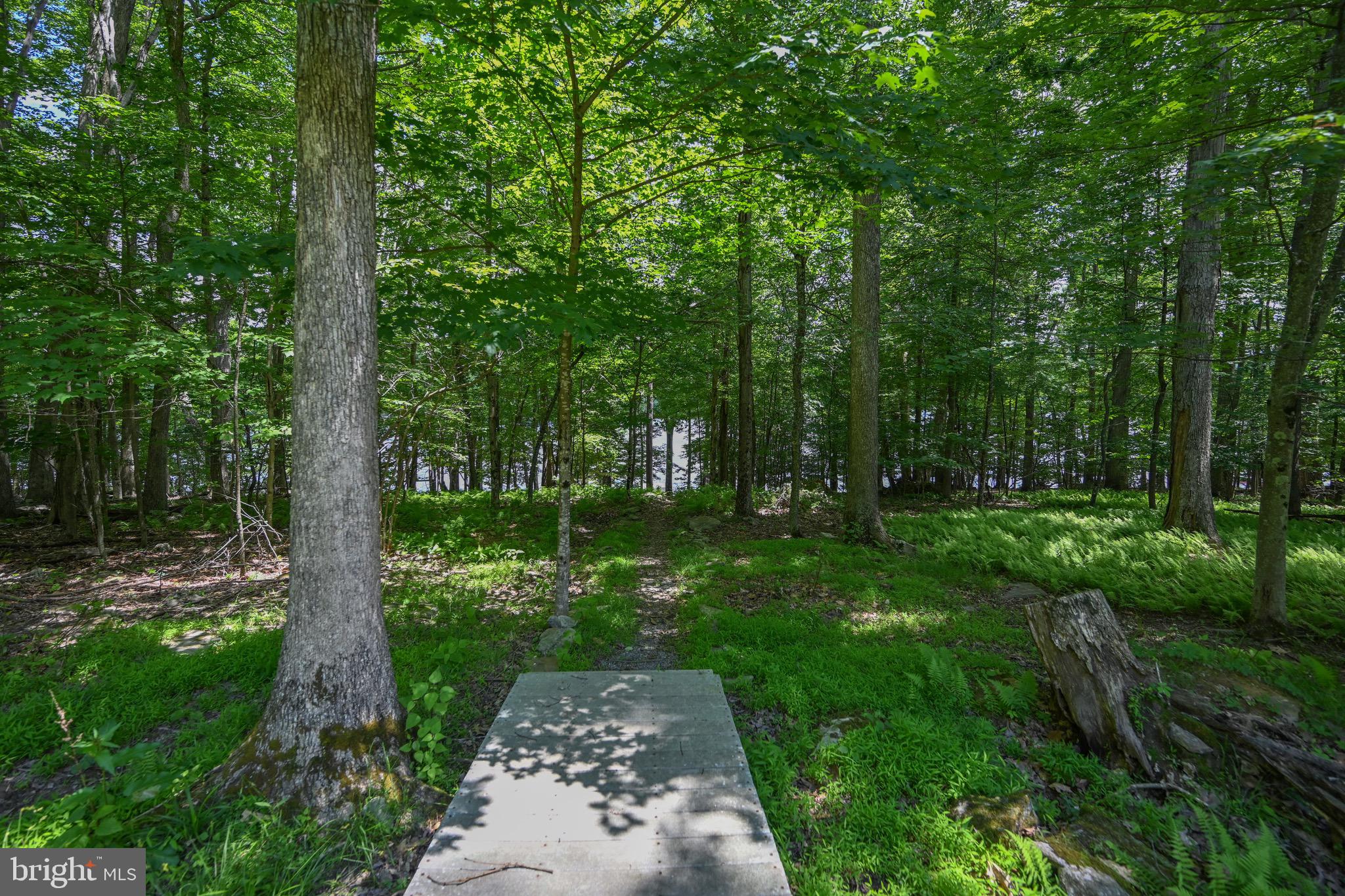 1419 SANDY SHORES ROAD
