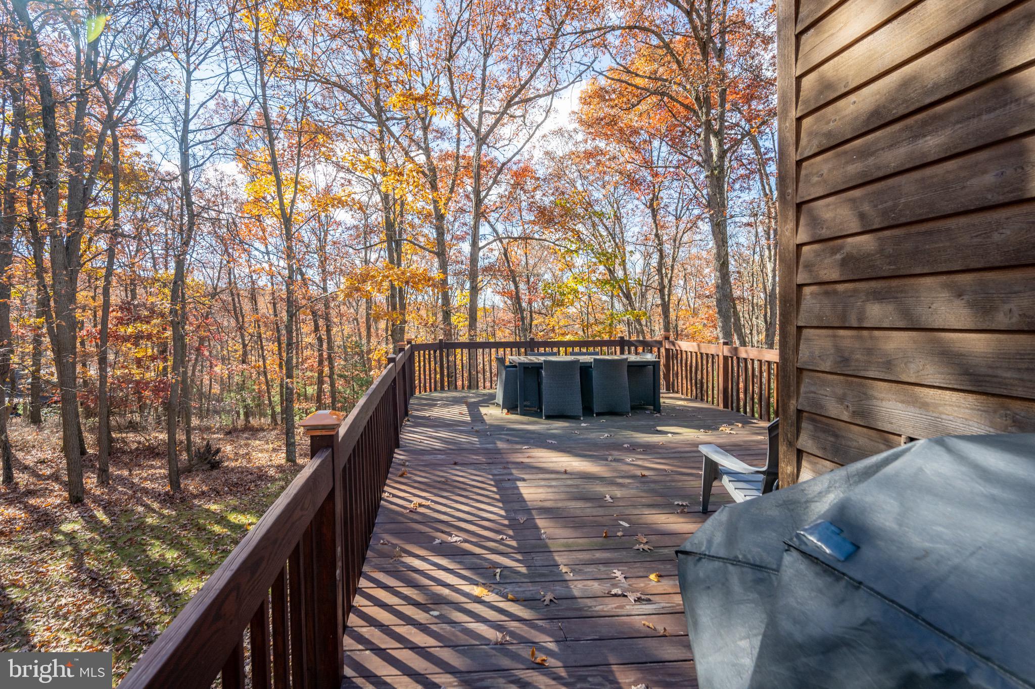 332 Bracken Dr