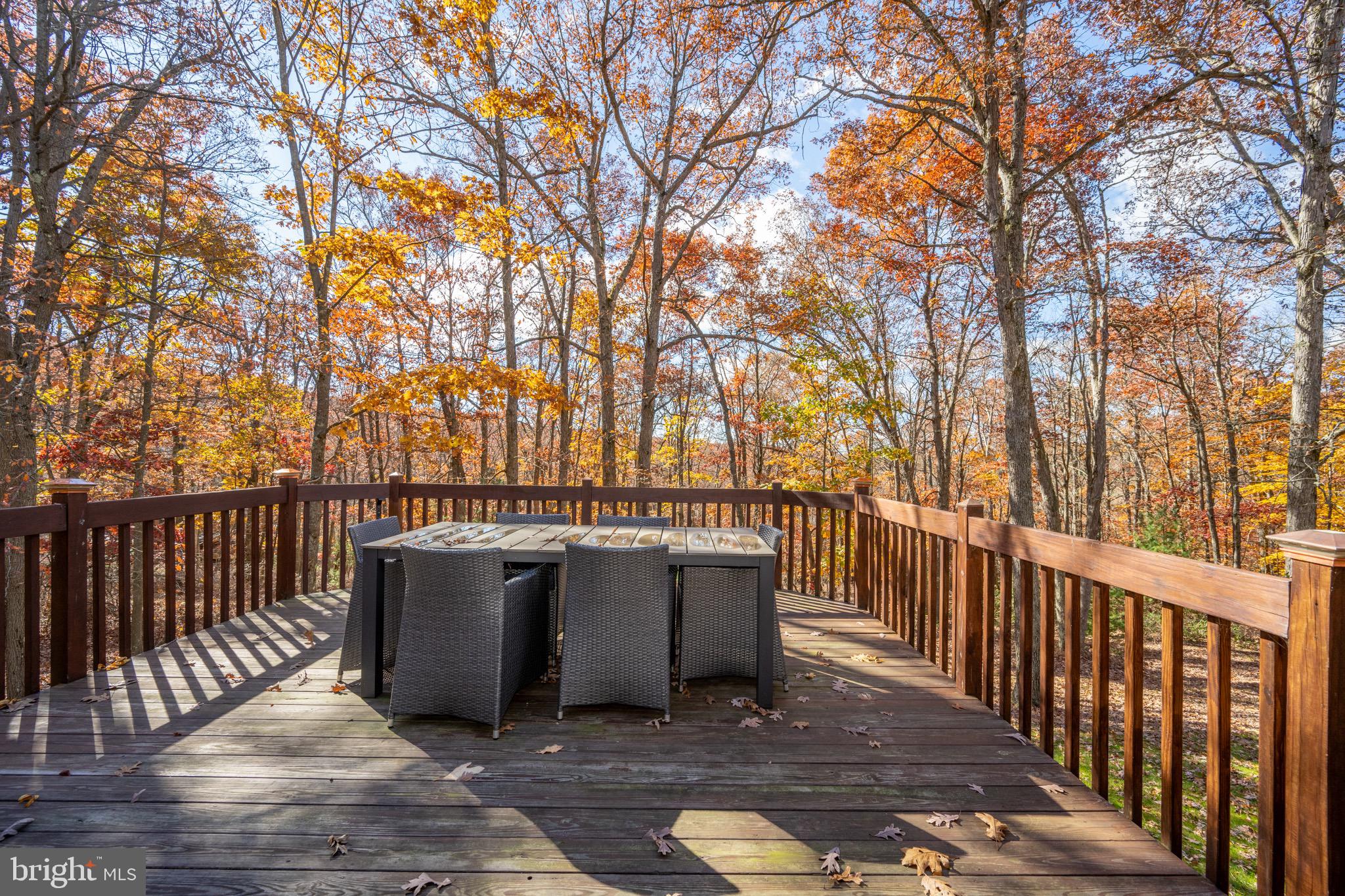 332 Bracken Dr