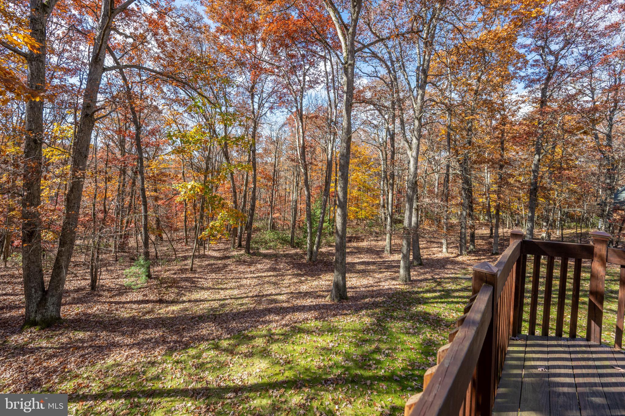 332 Bracken Dr