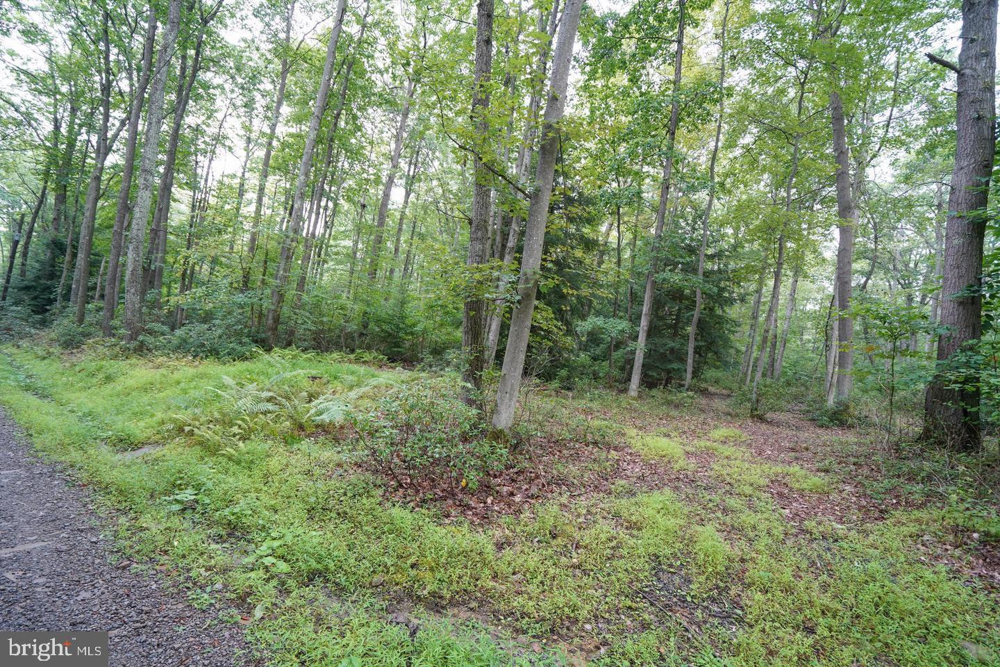 Lots 22 & 23 Black Oak Dr