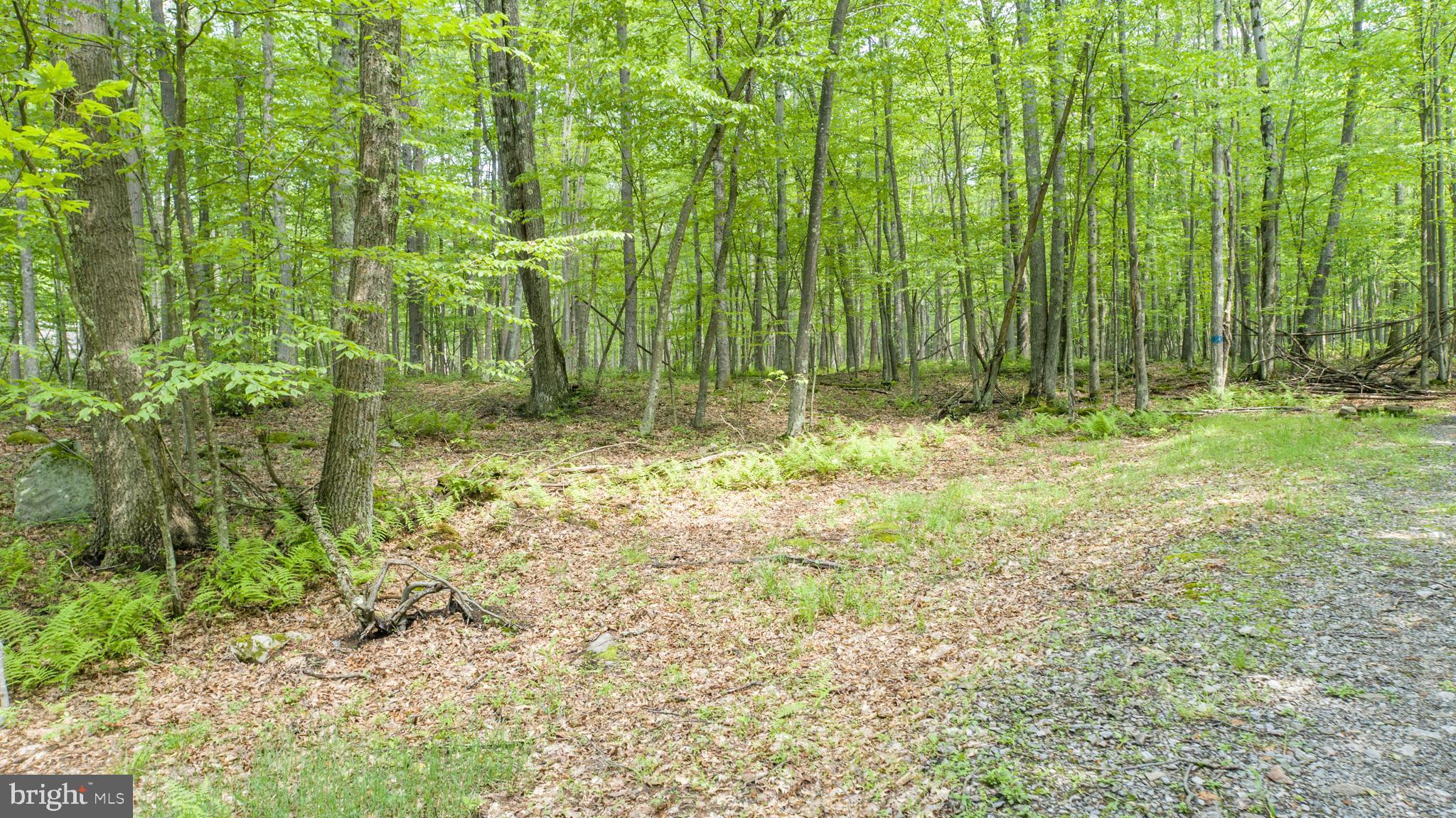 Lot 9 Birchwood Dr