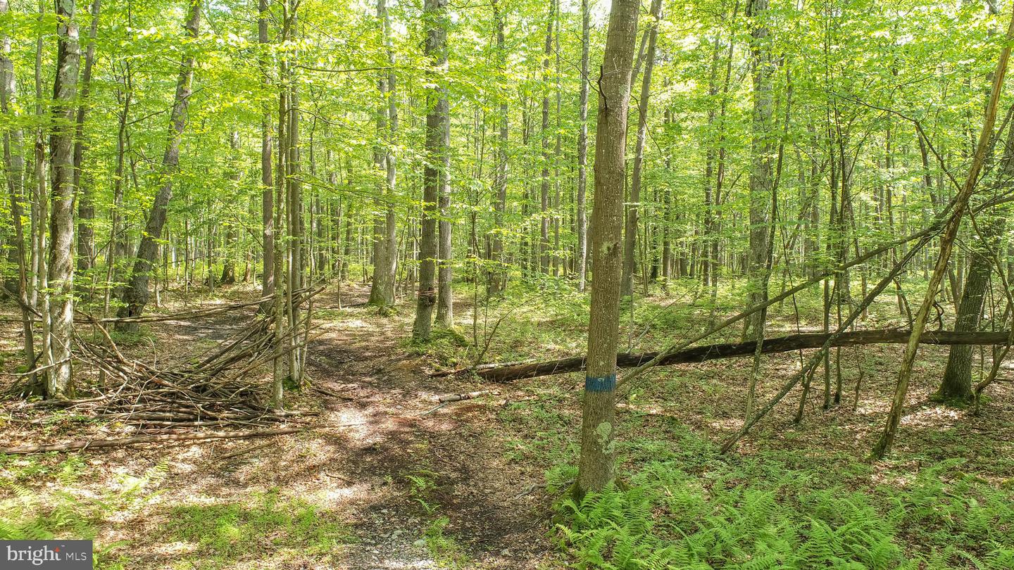 Lot 9 Birchwood Dr