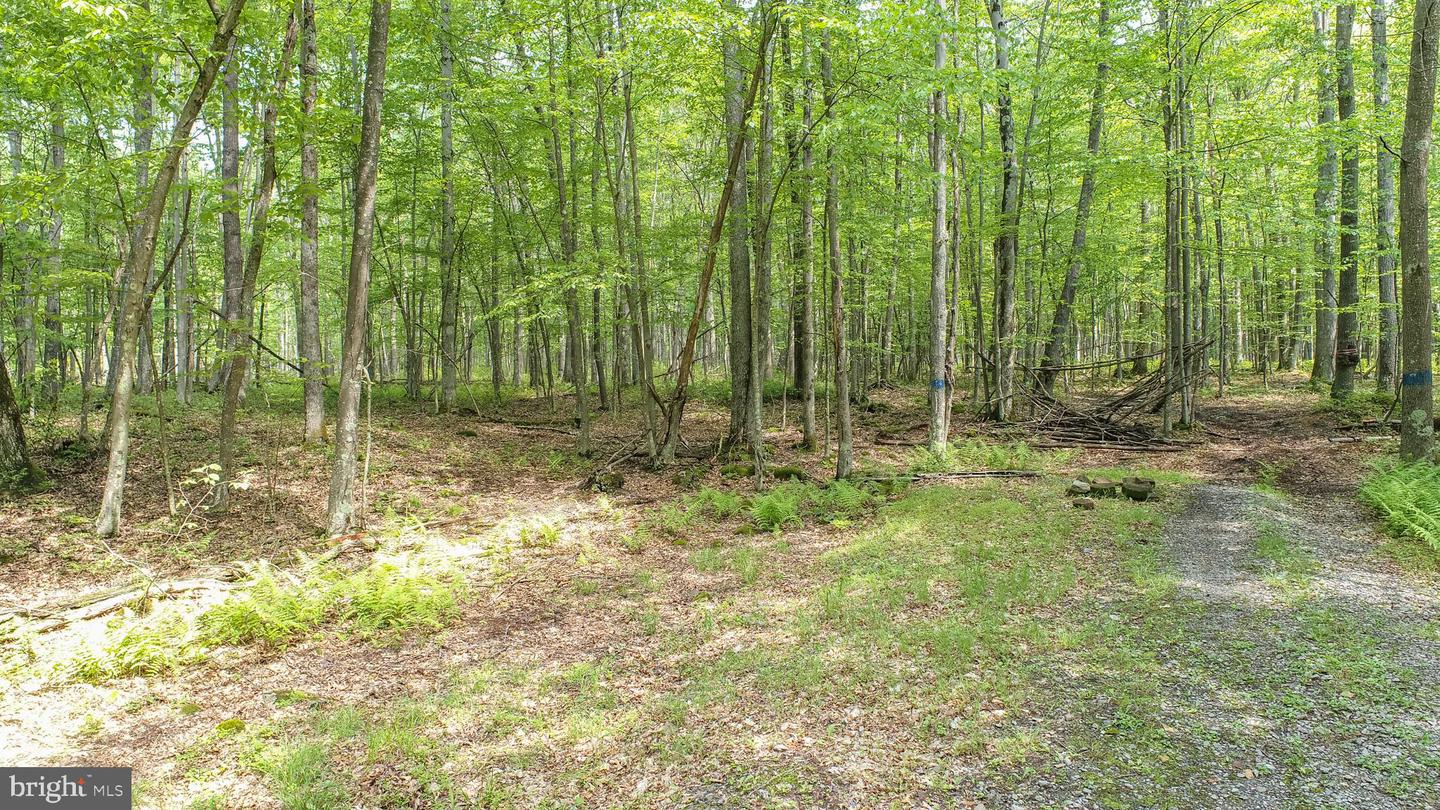 Lot 9 Birchwood Dr
