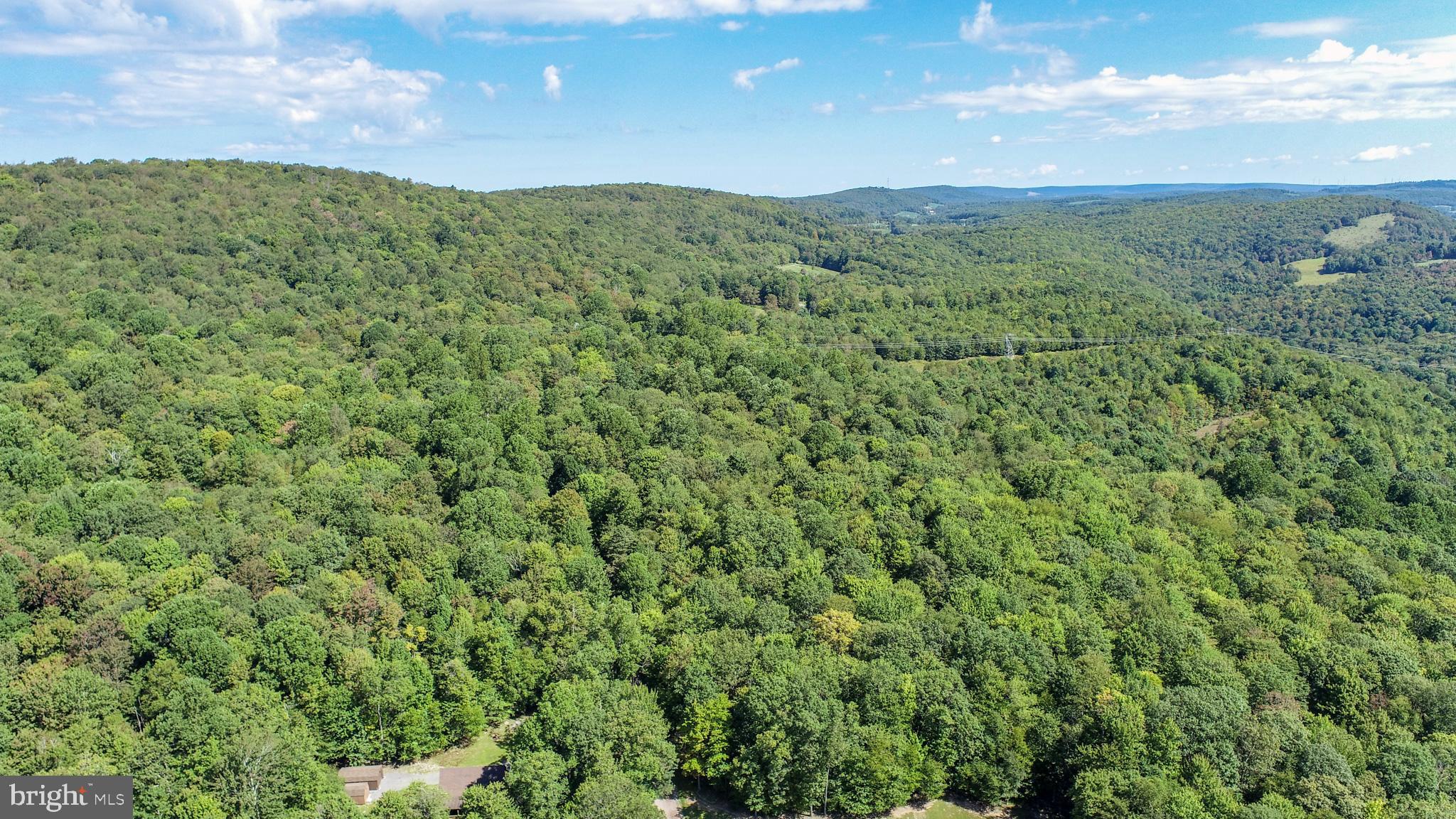 Lot 11 TURKEY RUN ROAD