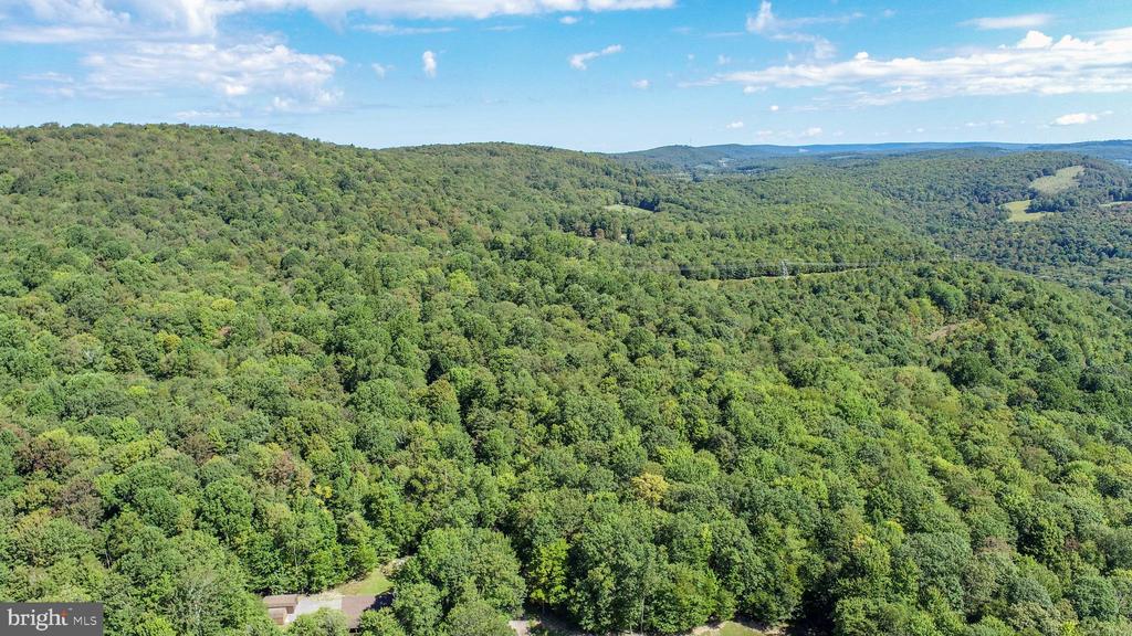 Lot 11 TURKEY RUN ROAD