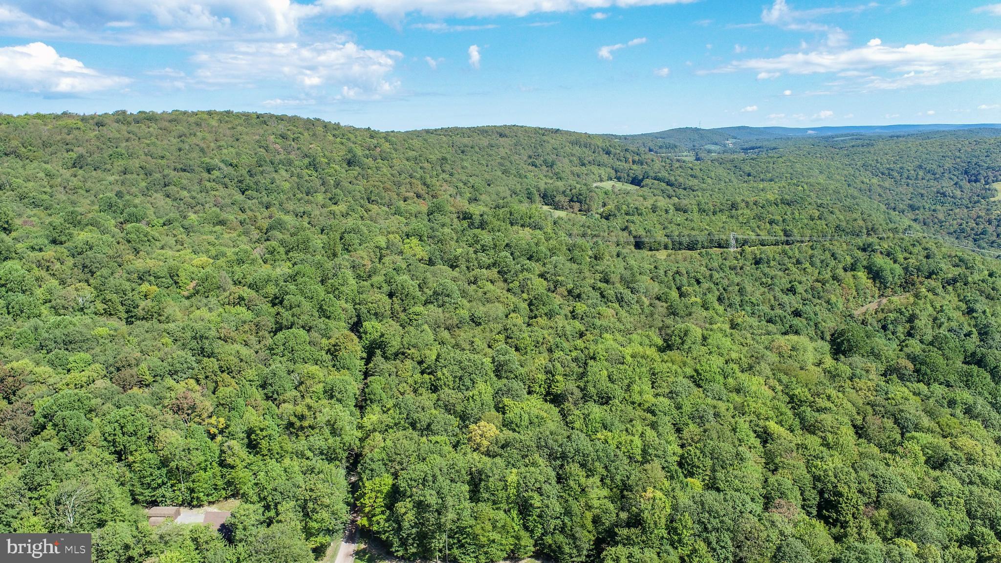 Lot 11 TURKEY RUN ROAD